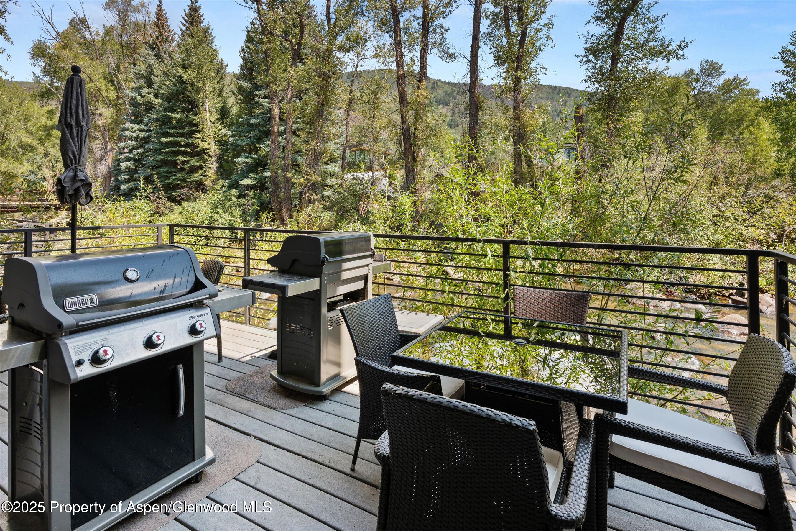 1039 E Cooper Avenue Aspen CO 81611