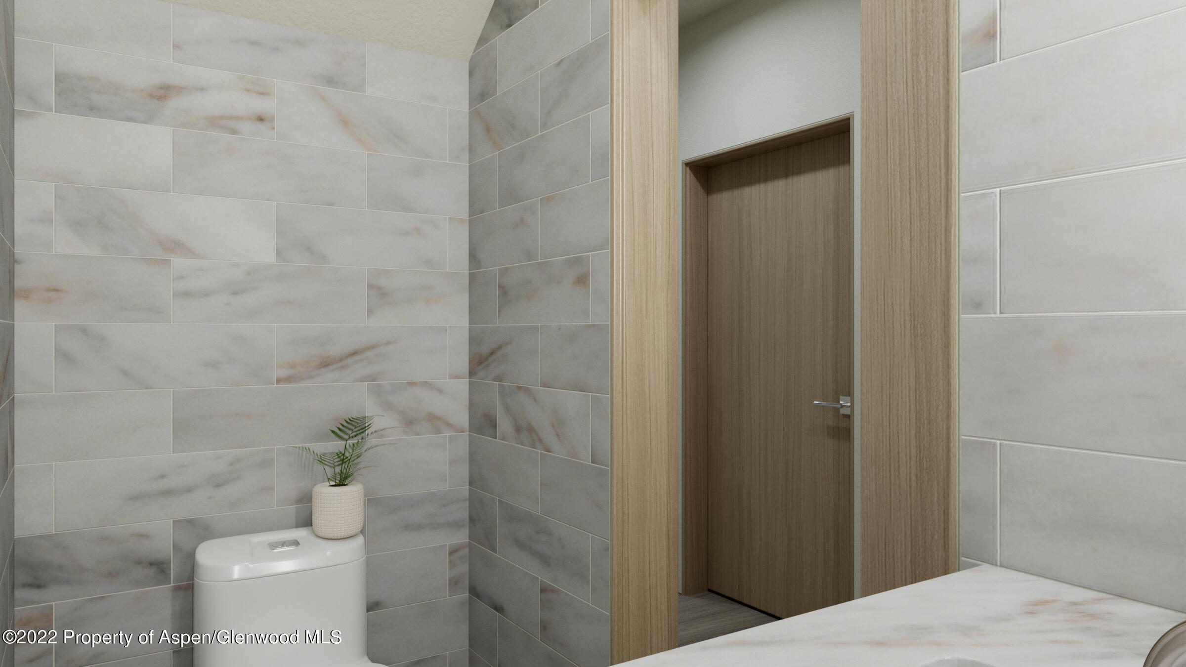 163 Lakeview Drive Carbondale CO 81623