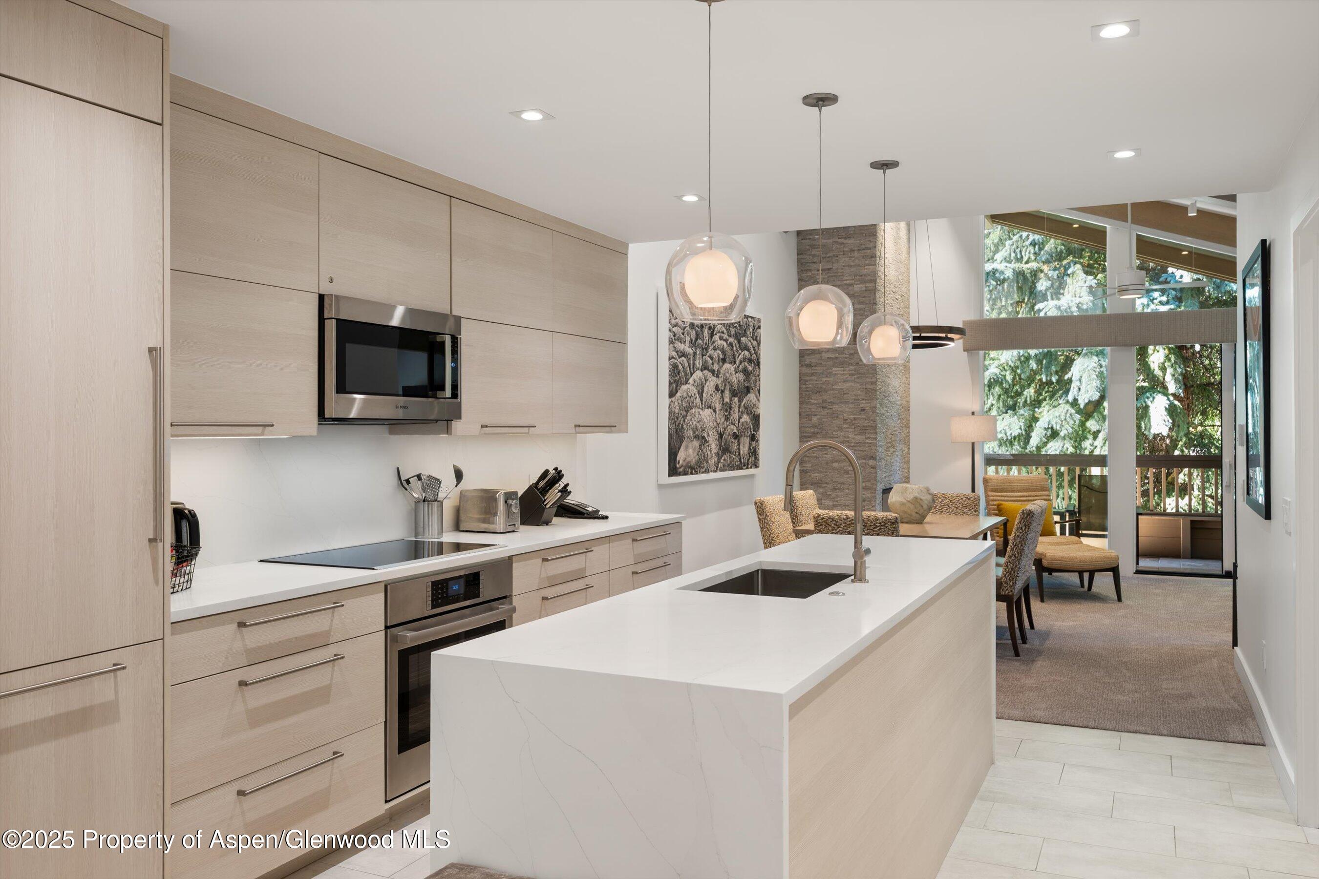 610 S West End Street Aspen CO 81611