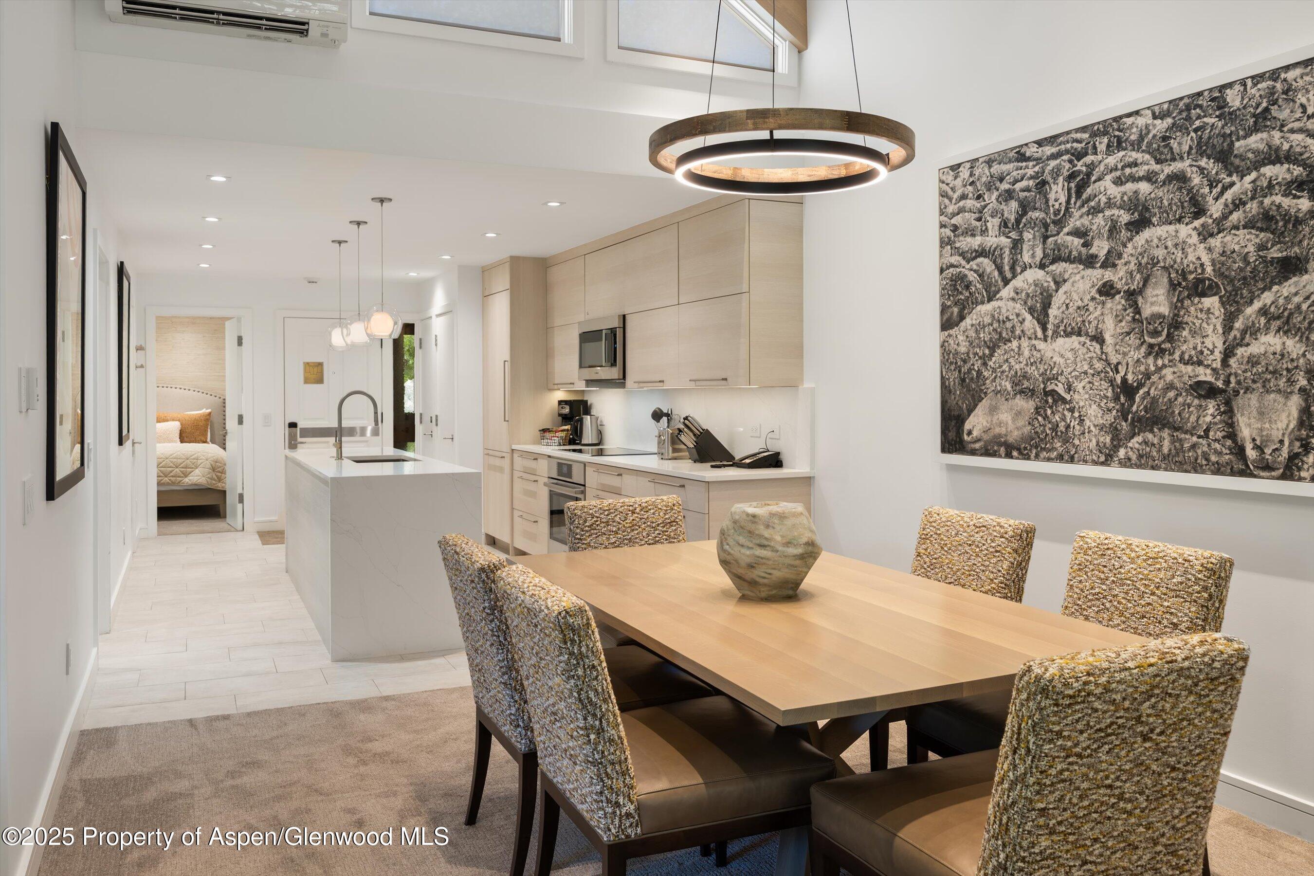 610 S West End Street Aspen CO 81611