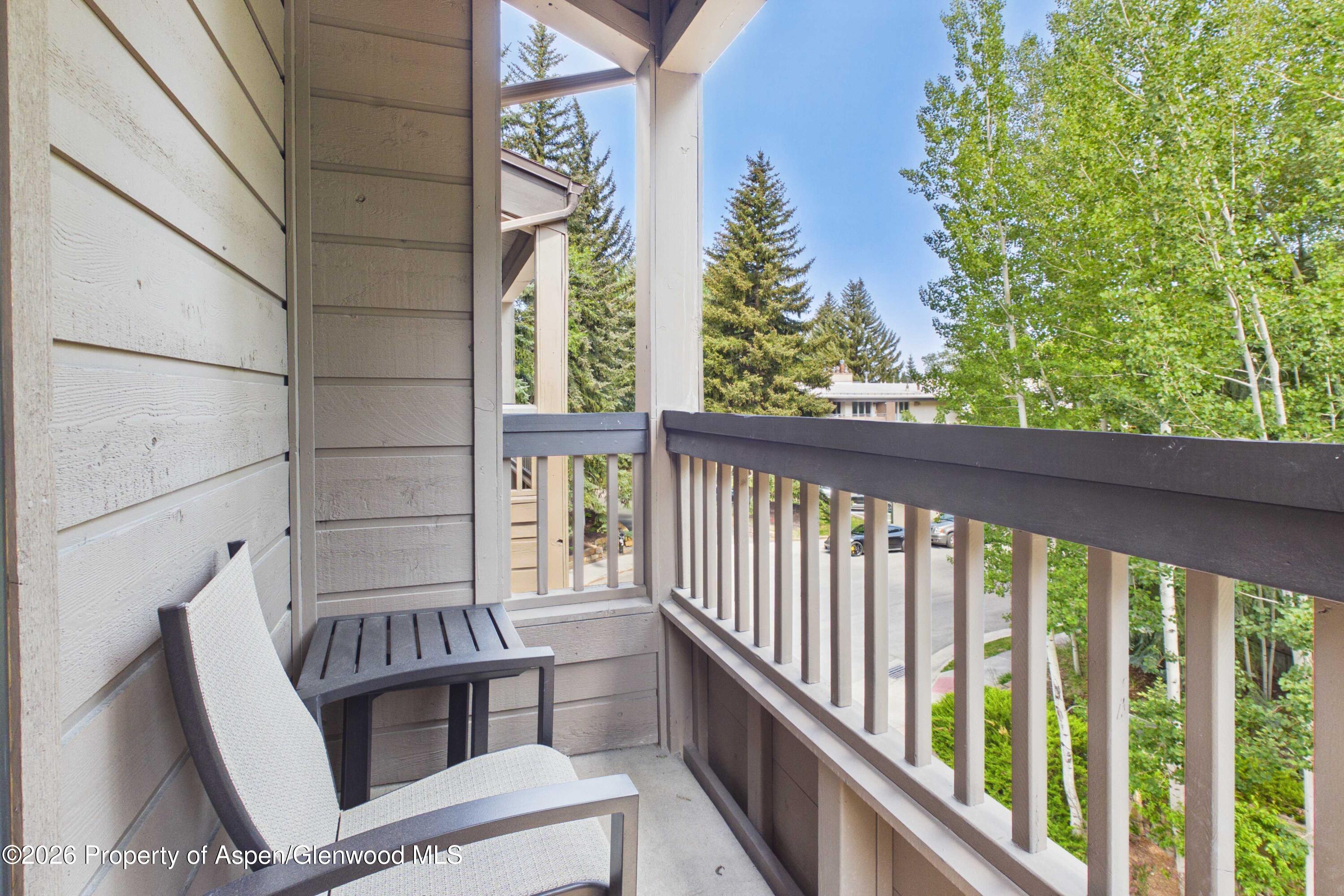 610 S West End Street Aspen CO 81611
