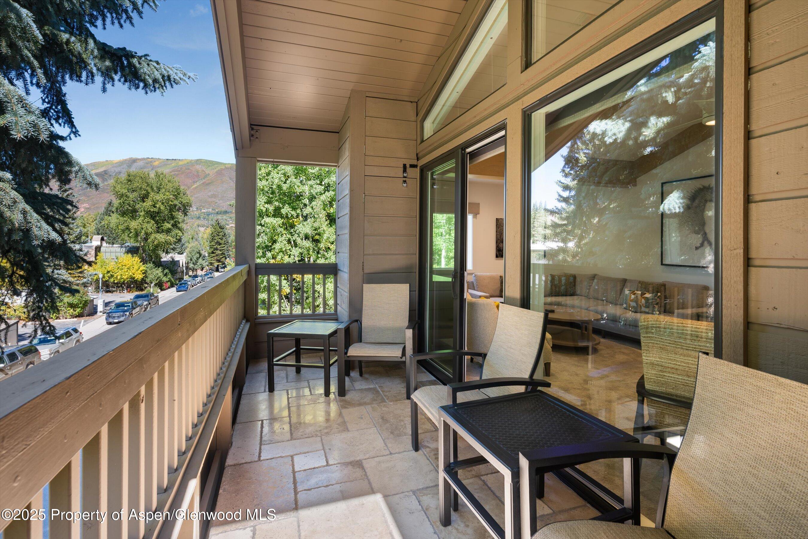 610 S West End Street Aspen CO 81611