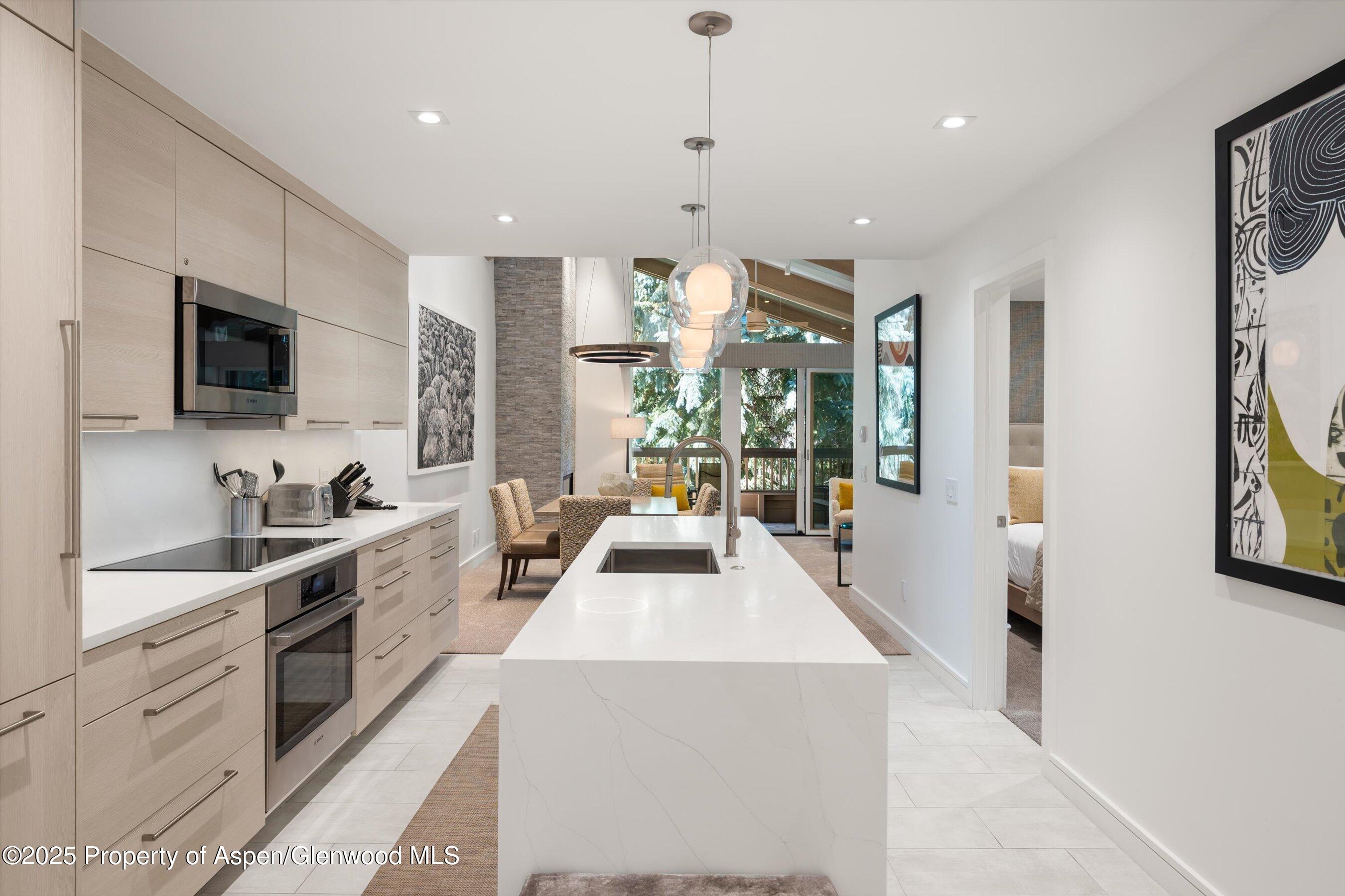 610 S West End Street Aspen CO 81611