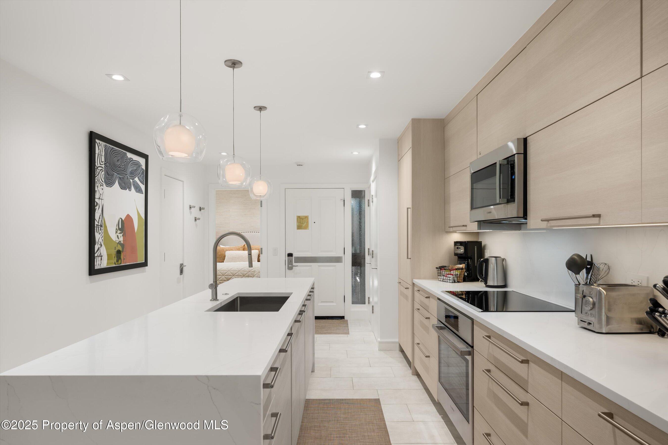 610 S West End Street Aspen CO 81611