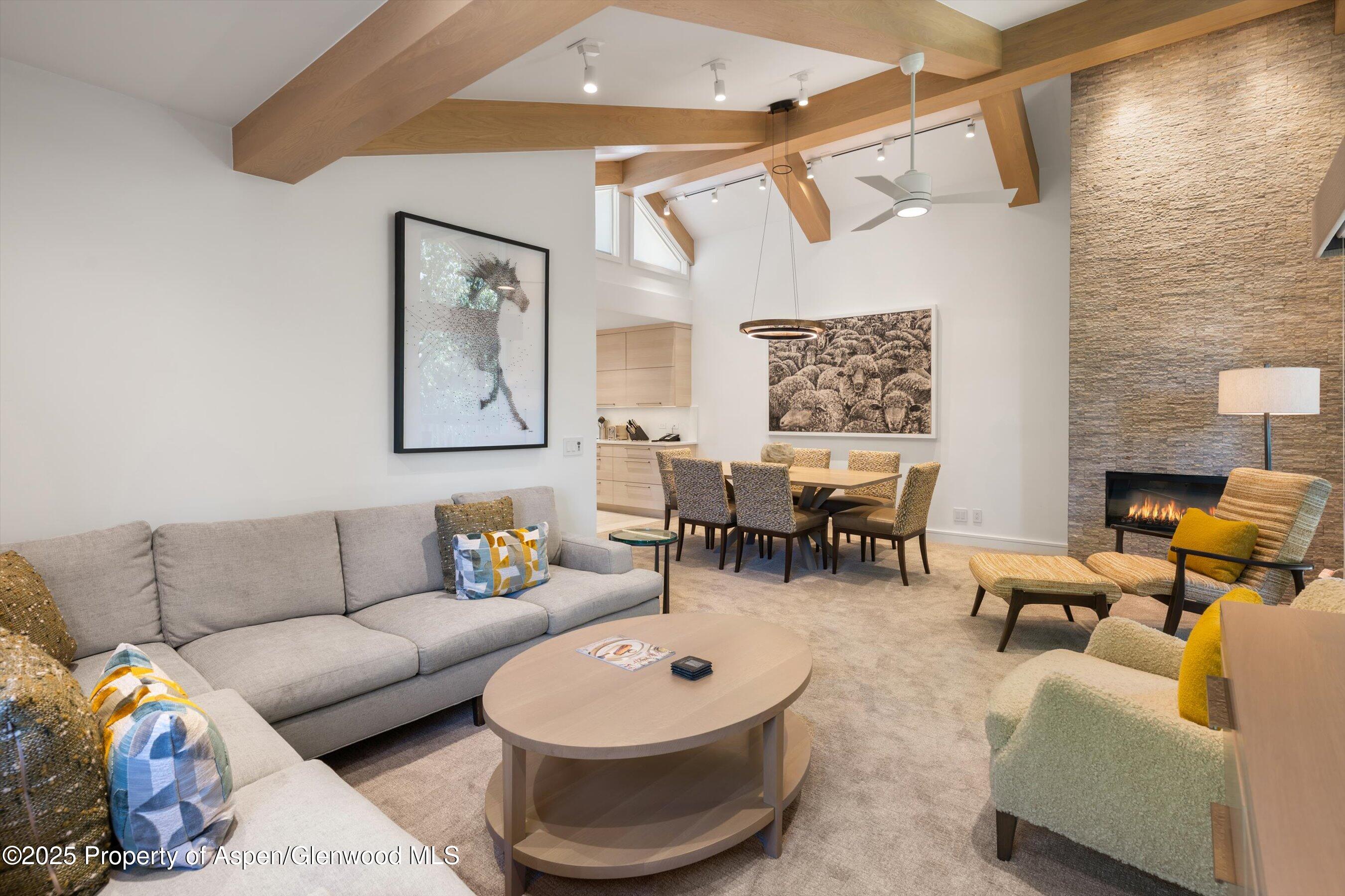 610 S West End Street Aspen CO 81611