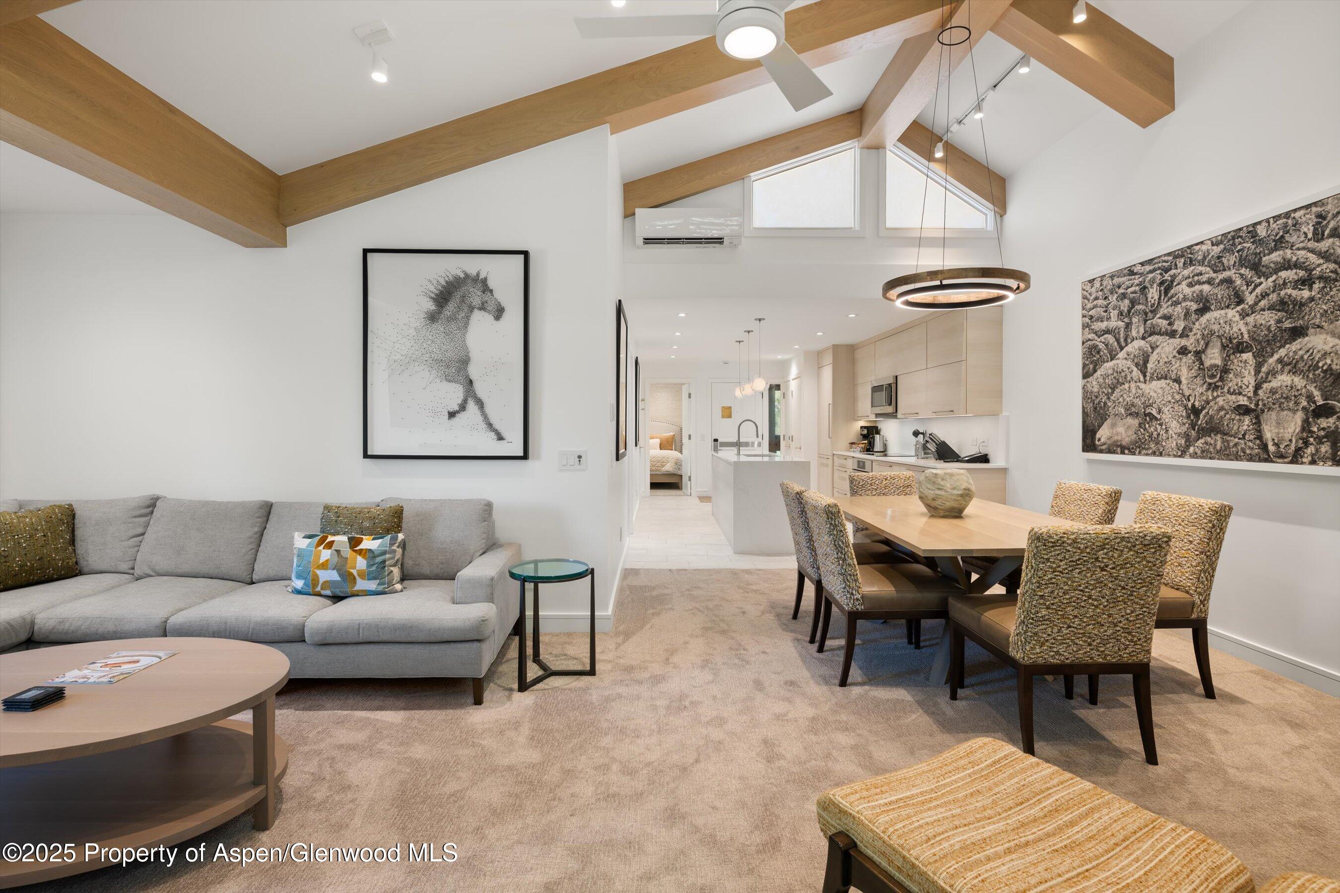 610 S West End Street Aspen CO 81611