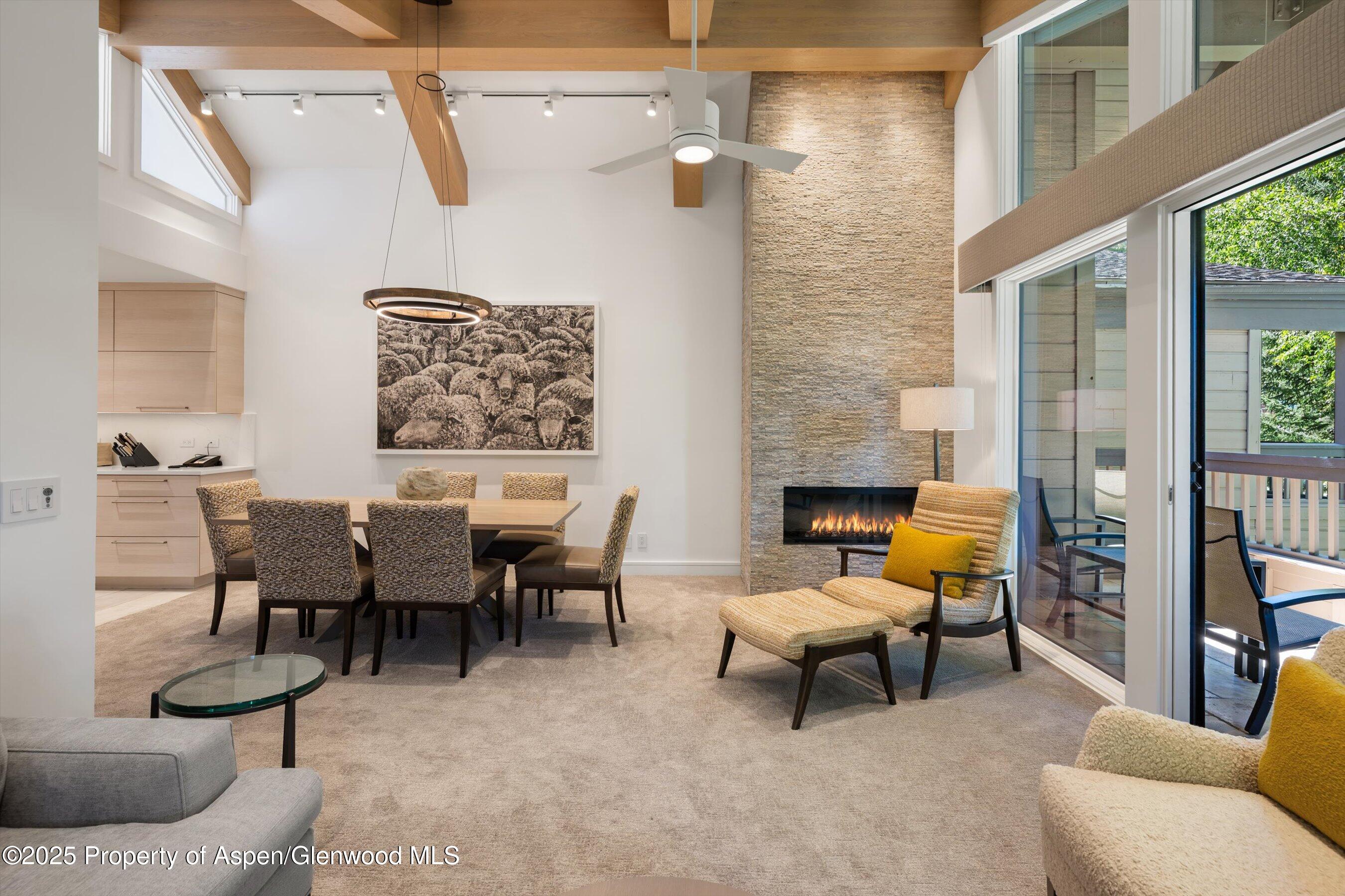 610 S West End Street Aspen CO 81611