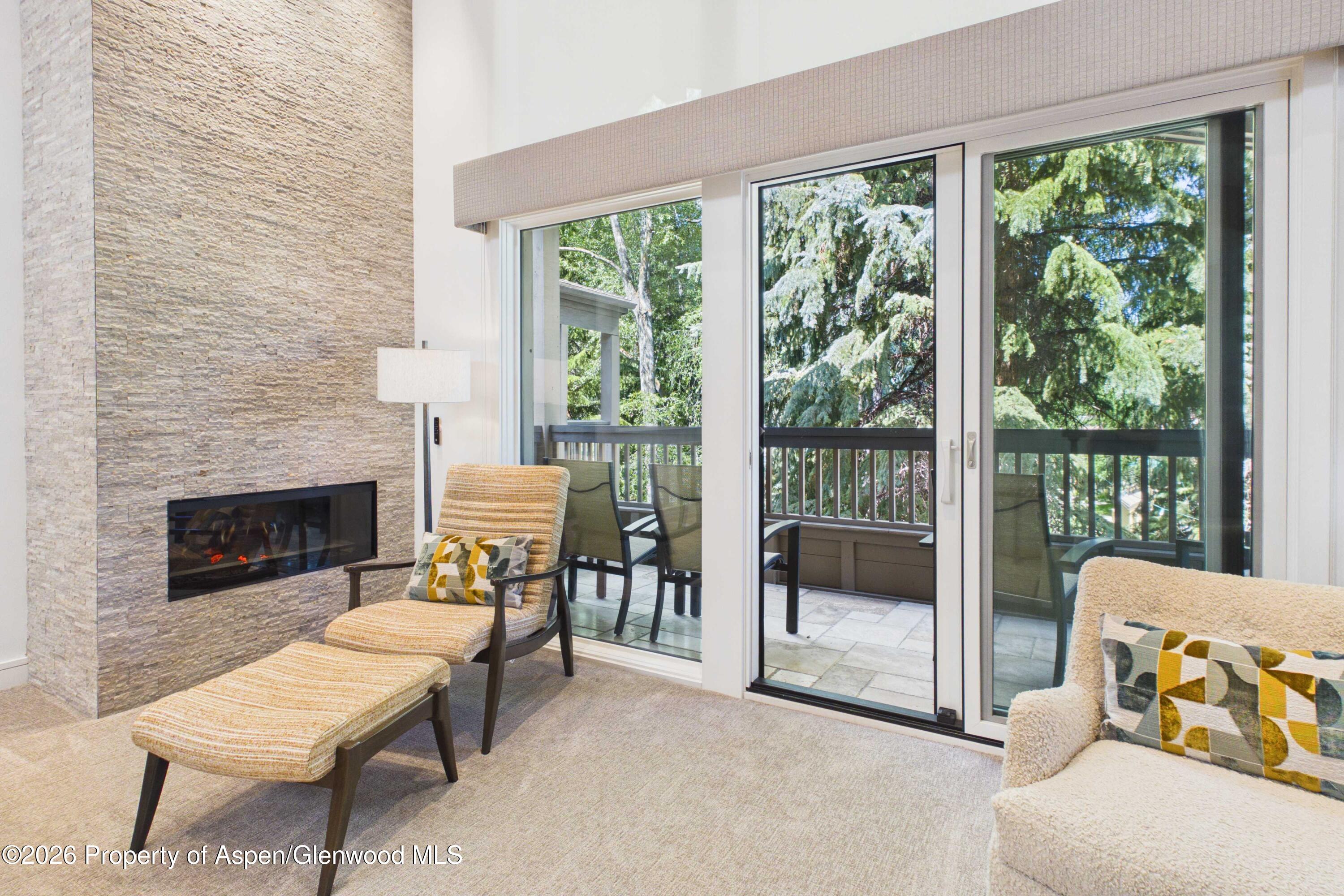 610 S West End Street Aspen CO 81611