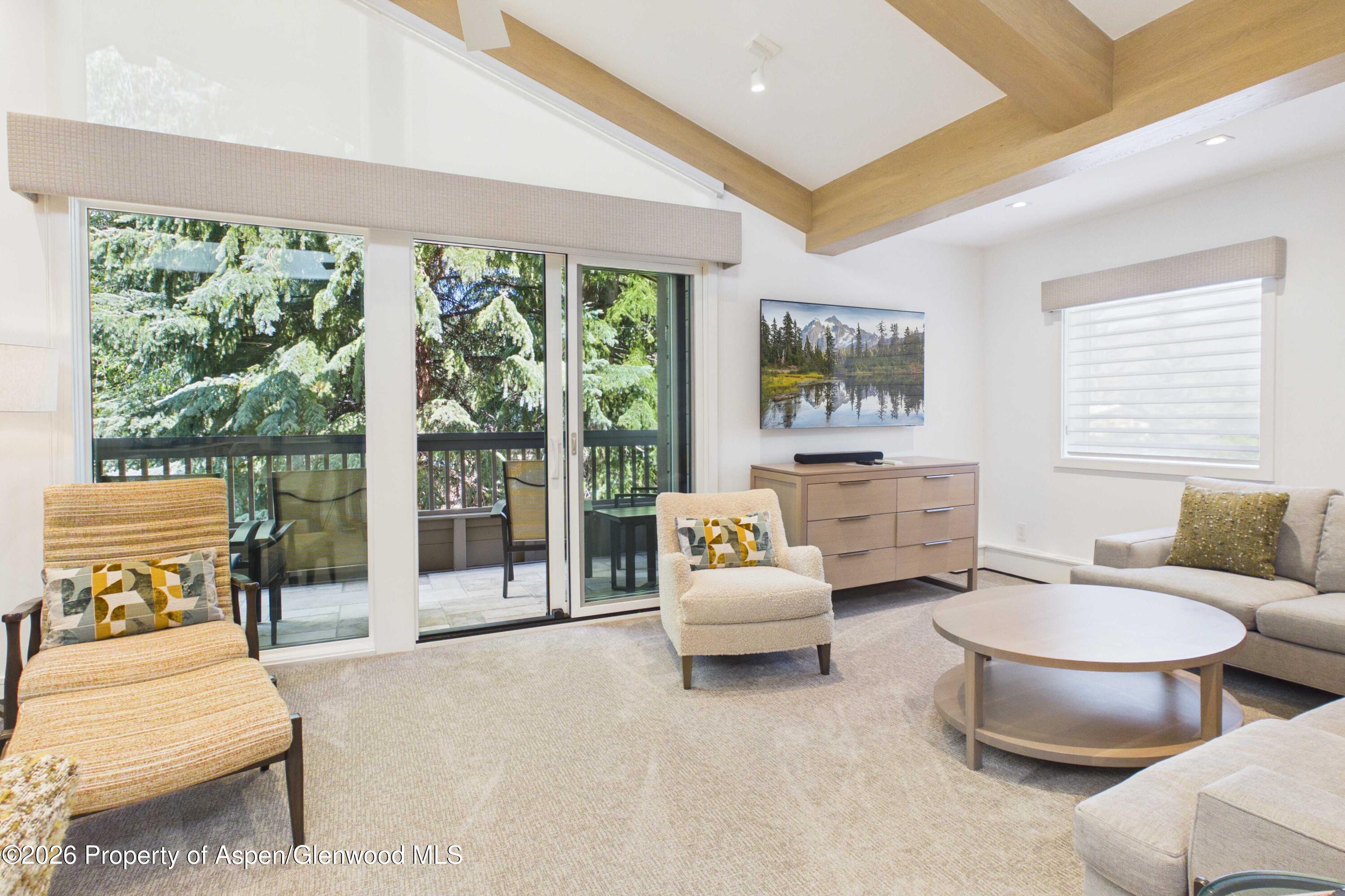 610 S West End Street Aspen CO 81611