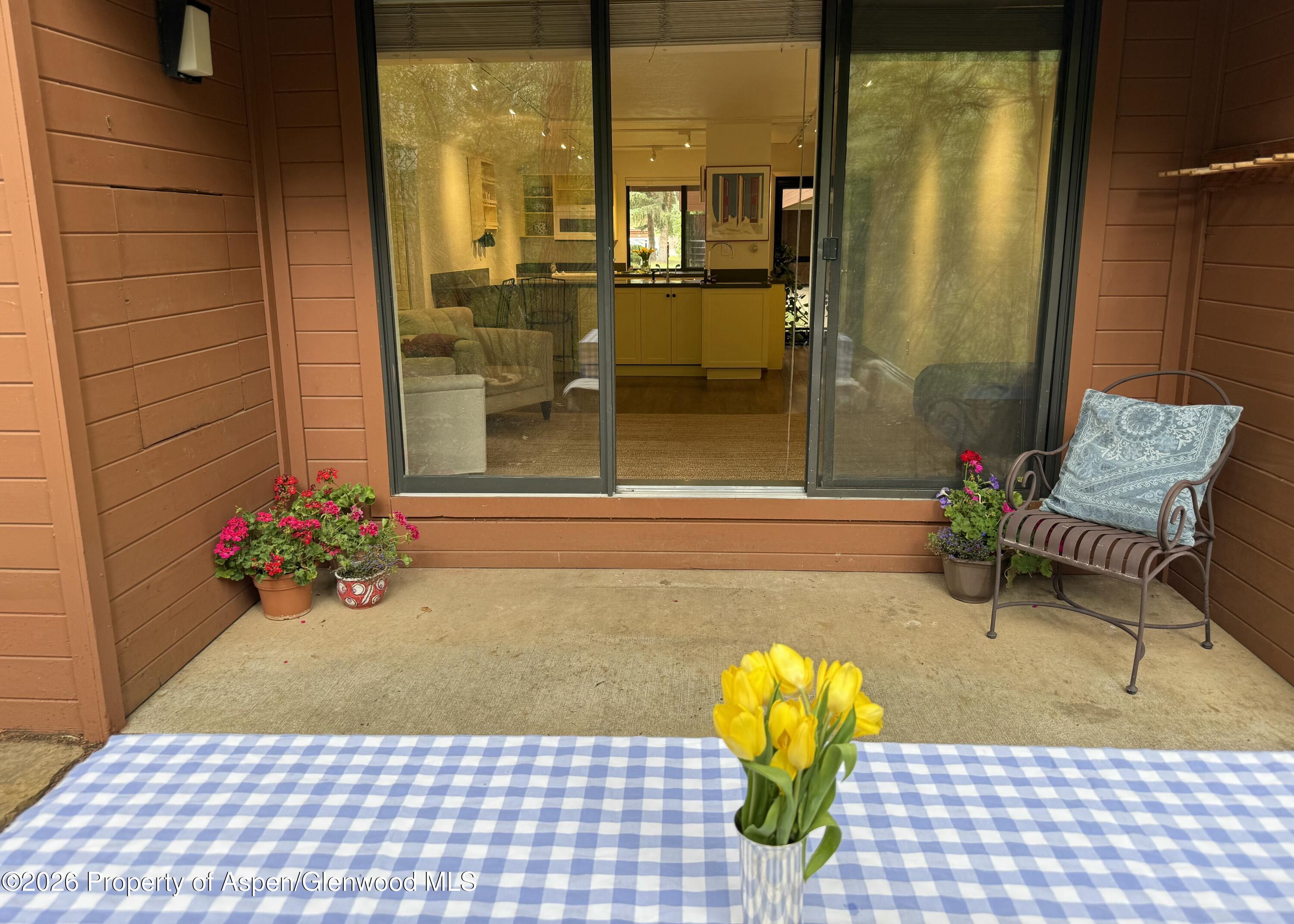 1214 Vine Street Aspen CO 81611