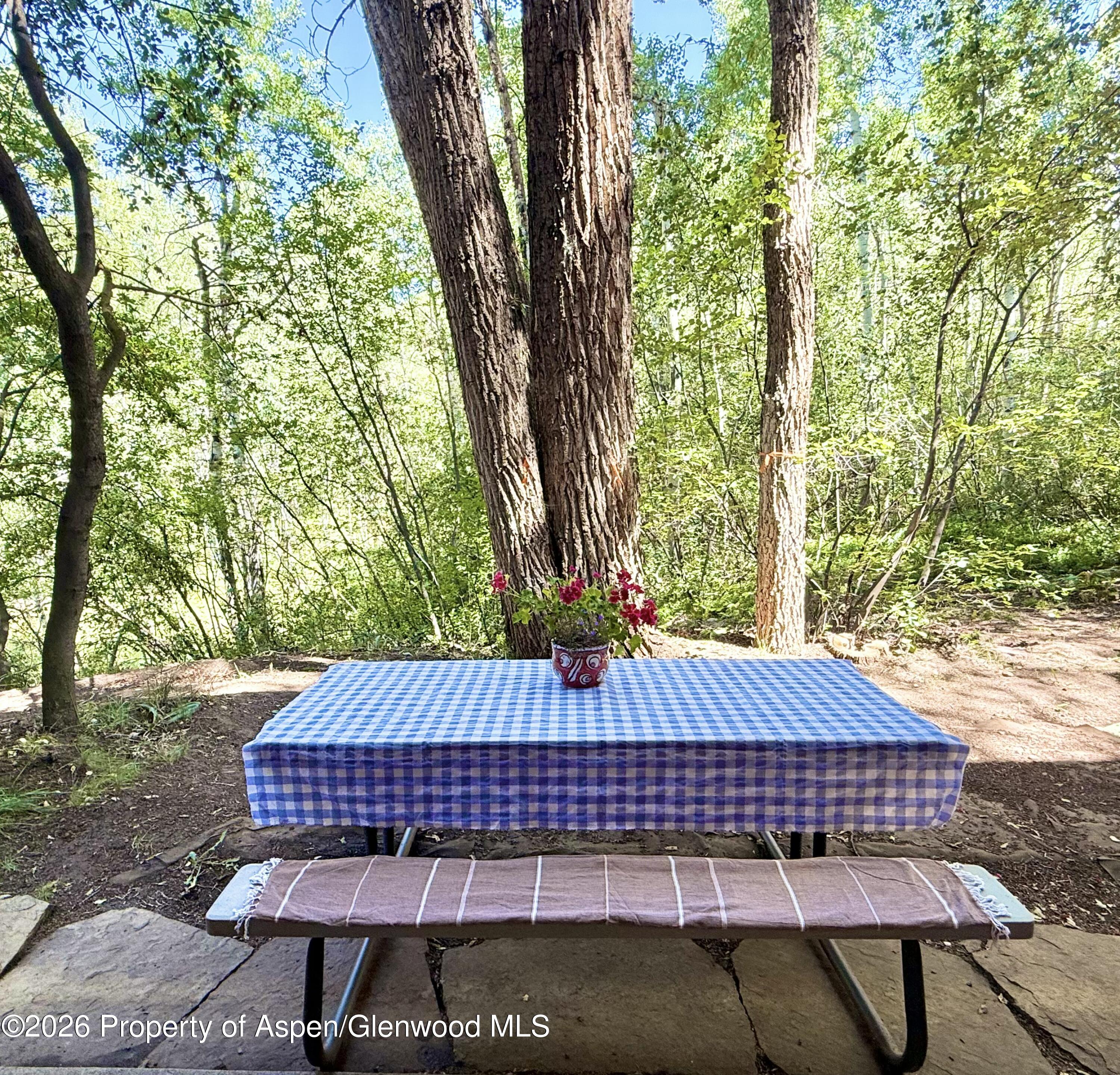 1214 Vine Street Aspen CO 81611