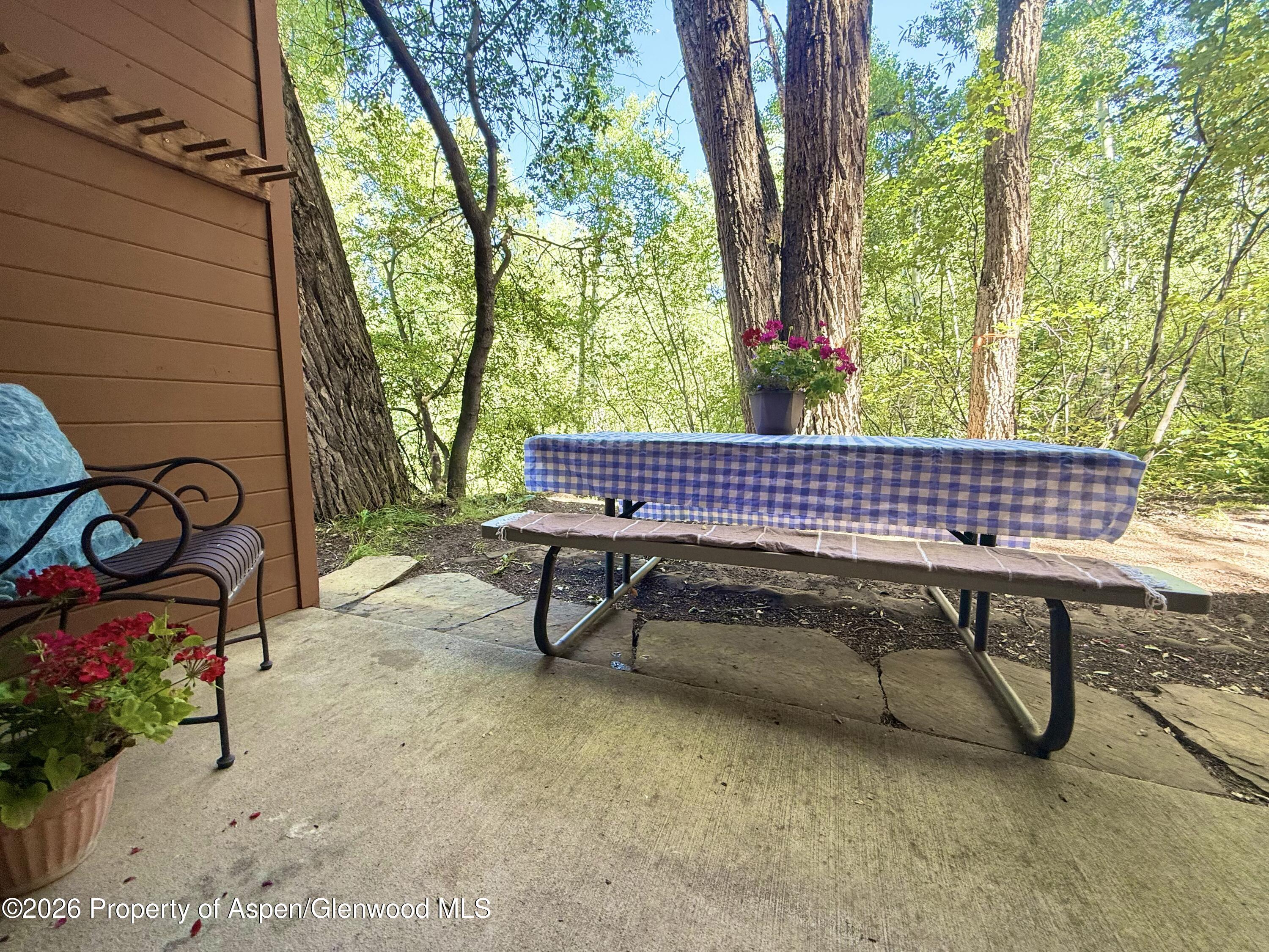 1214 Vine Street Aspen CO 81611