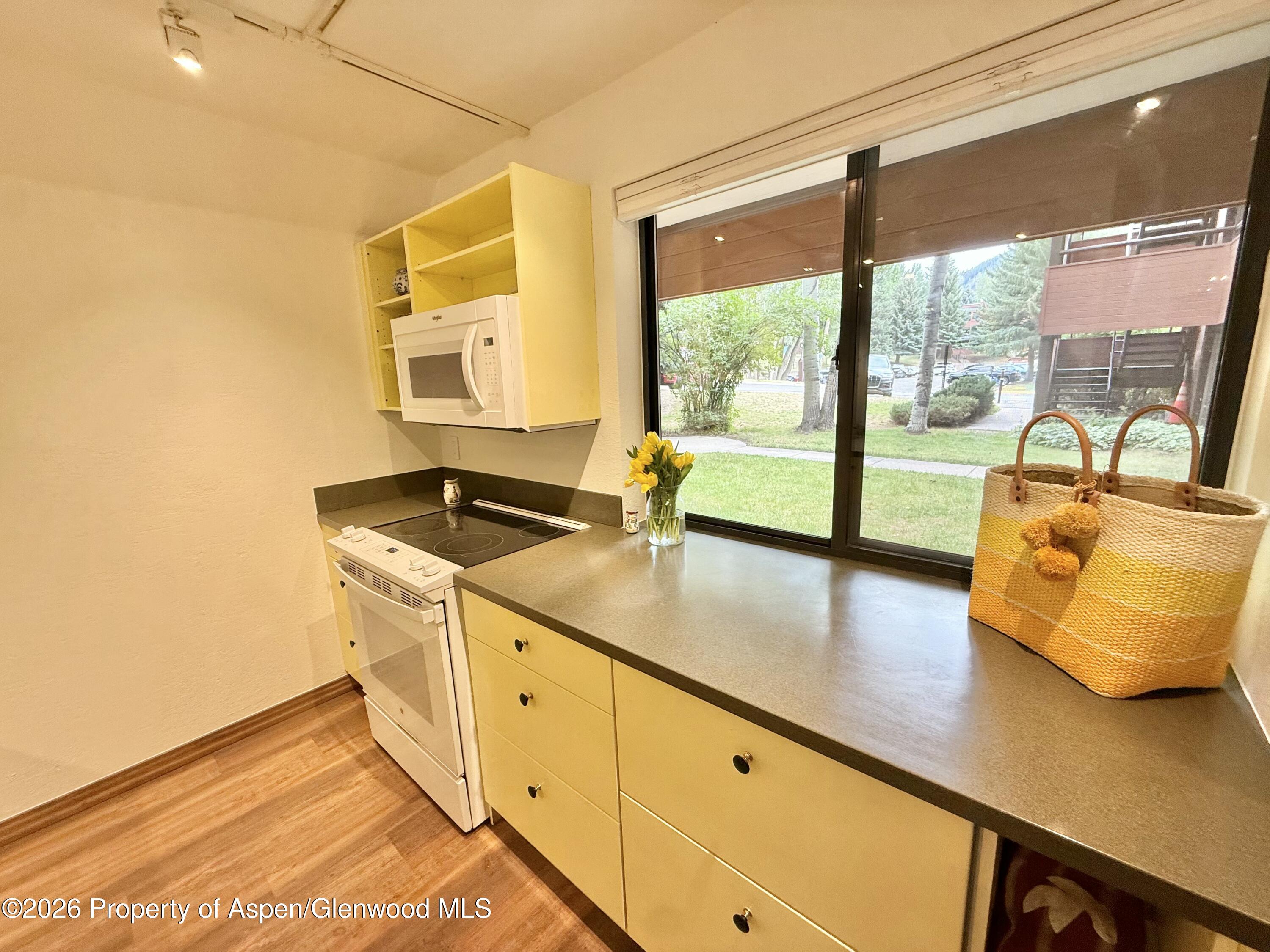 1214 Vine Street Aspen CO 81611
