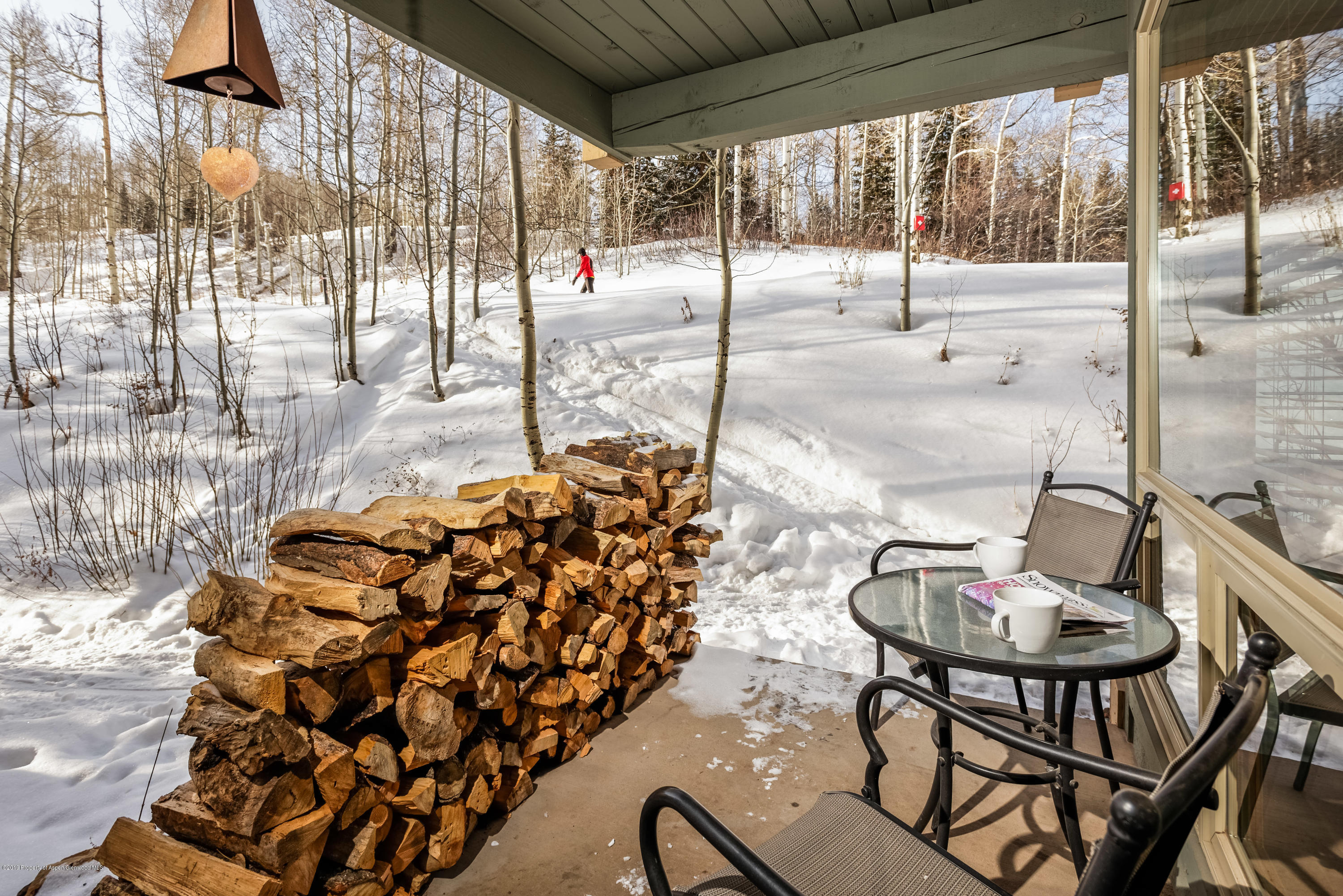 855 Carriage Way Snowmass Village CO 81615