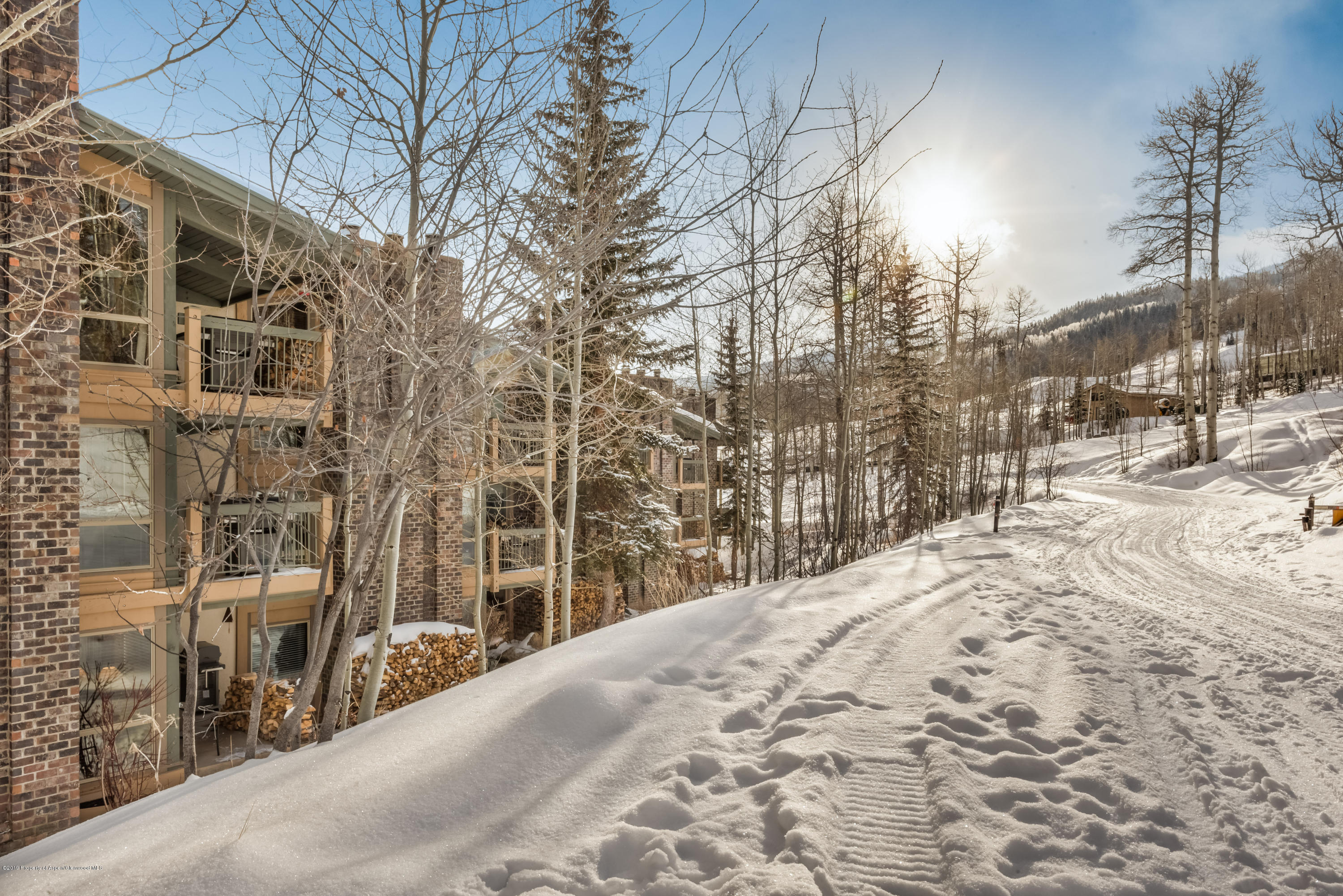 855 Carriage Way Snowmass Village CO 81615