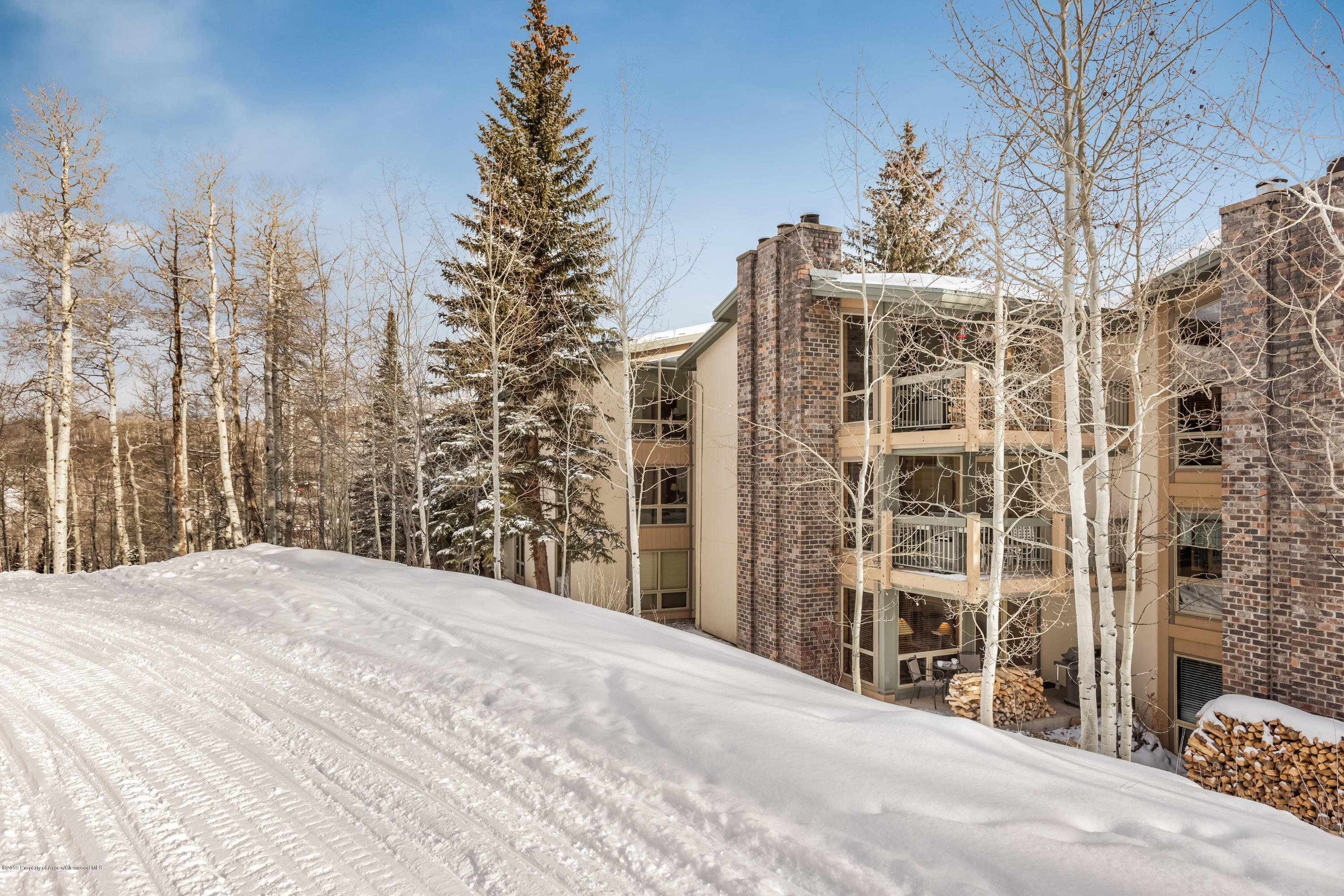 855 Carriage Way Snowmass Village CO 81615