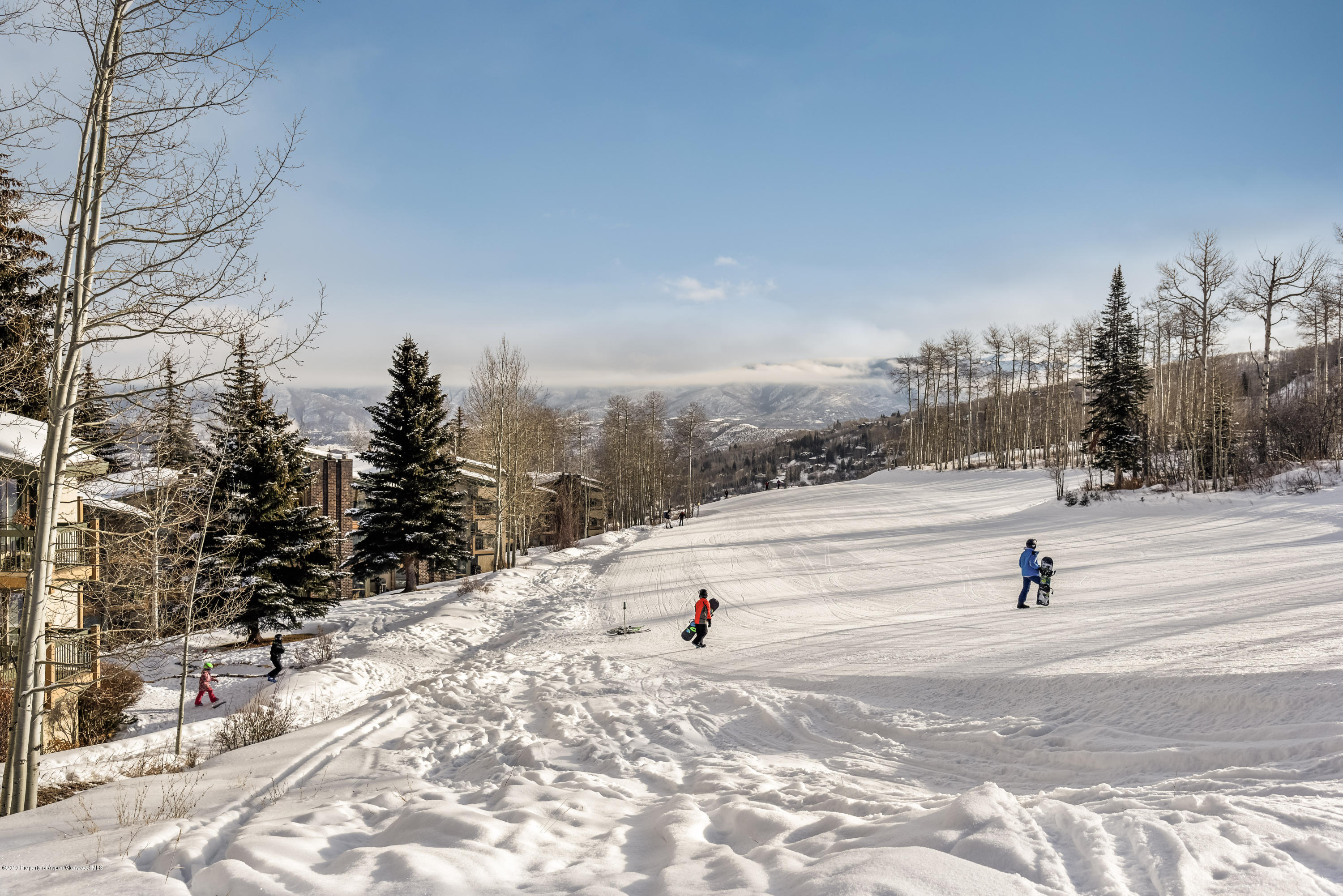 855 Carriage Way Snowmass Village CO 81615