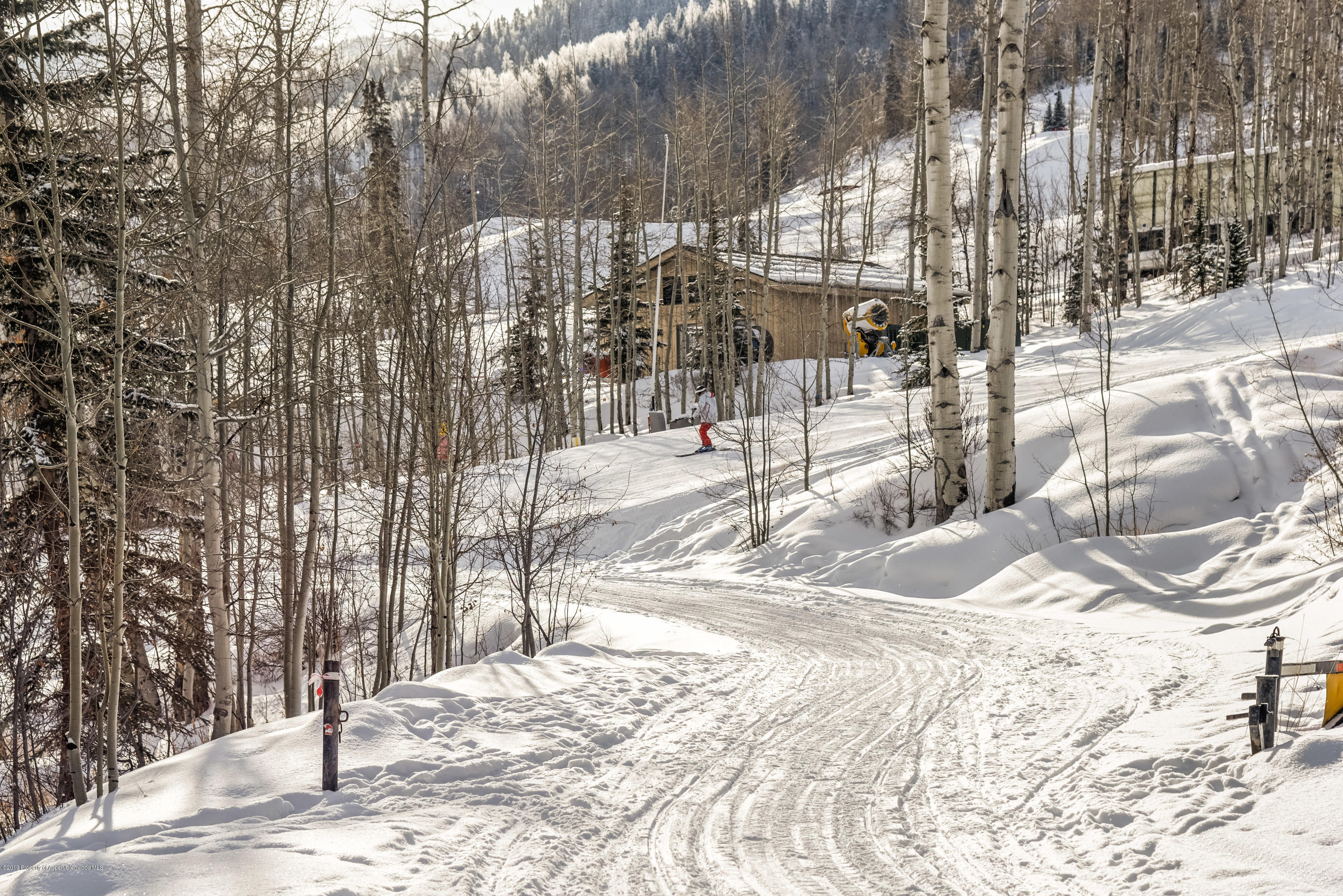 855 Carriage Way Snowmass Village CO 81615