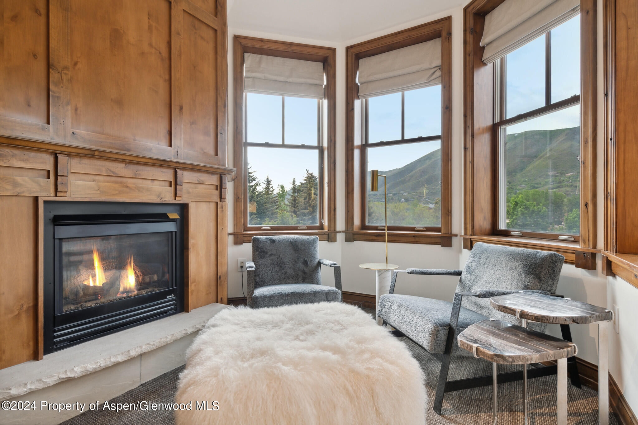 415 E Dean St., Unit 28, Week 34 Aspen CO 81611