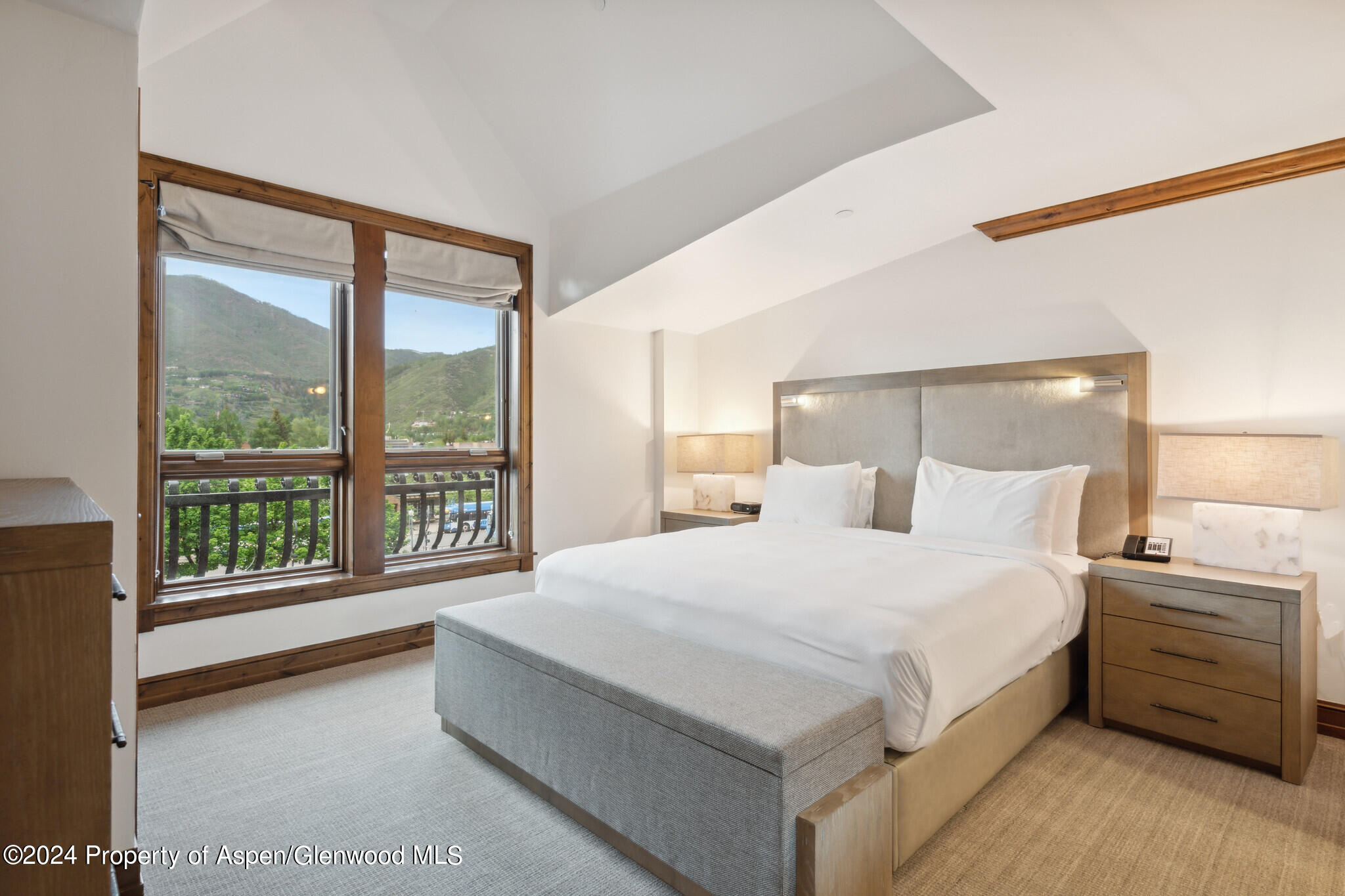 415 E Dean St., Unit 28, Week 34 Aspen CO 81611