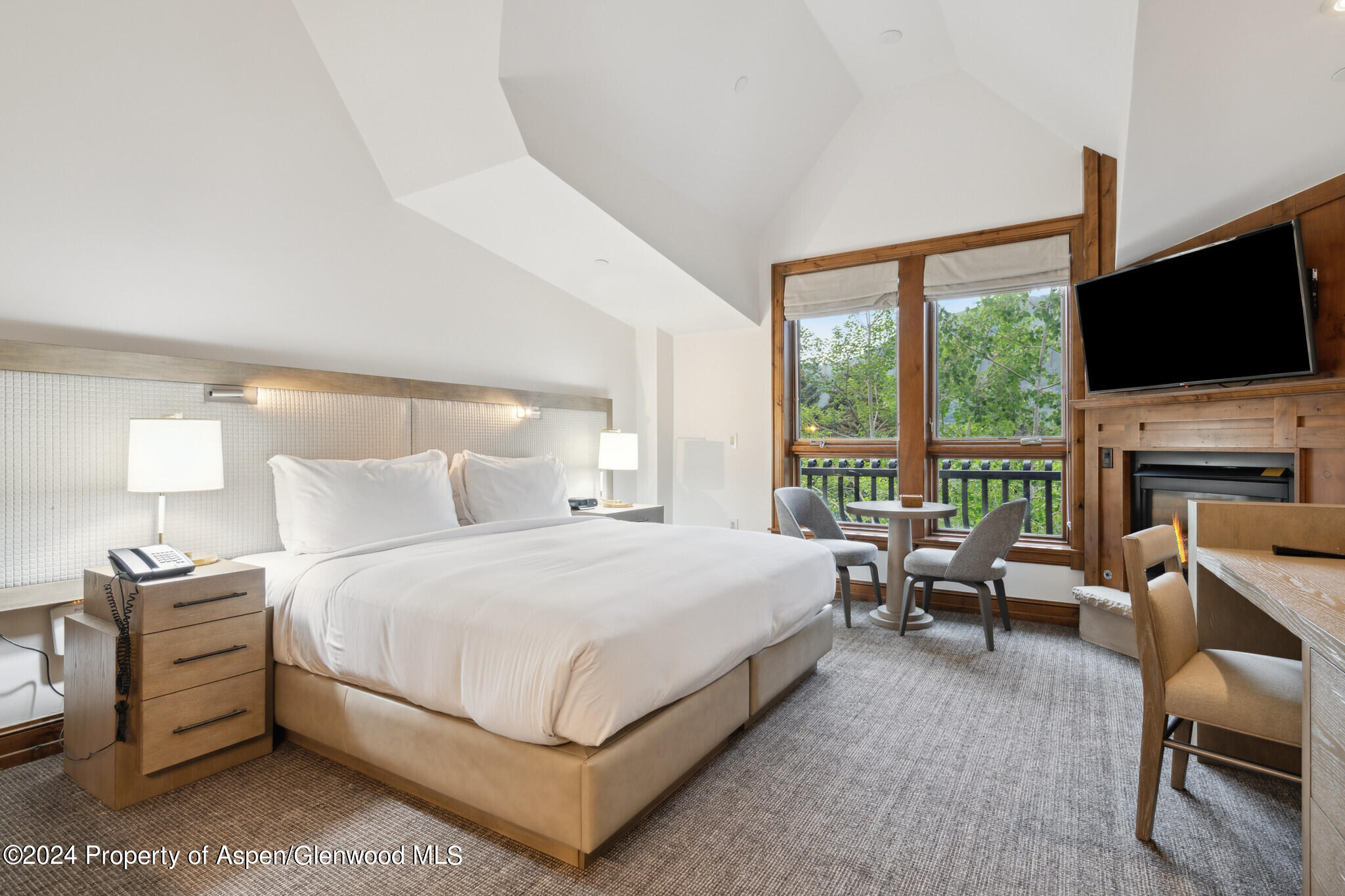 415 E Dean St., Unit 28, Week 34 Aspen CO 81611