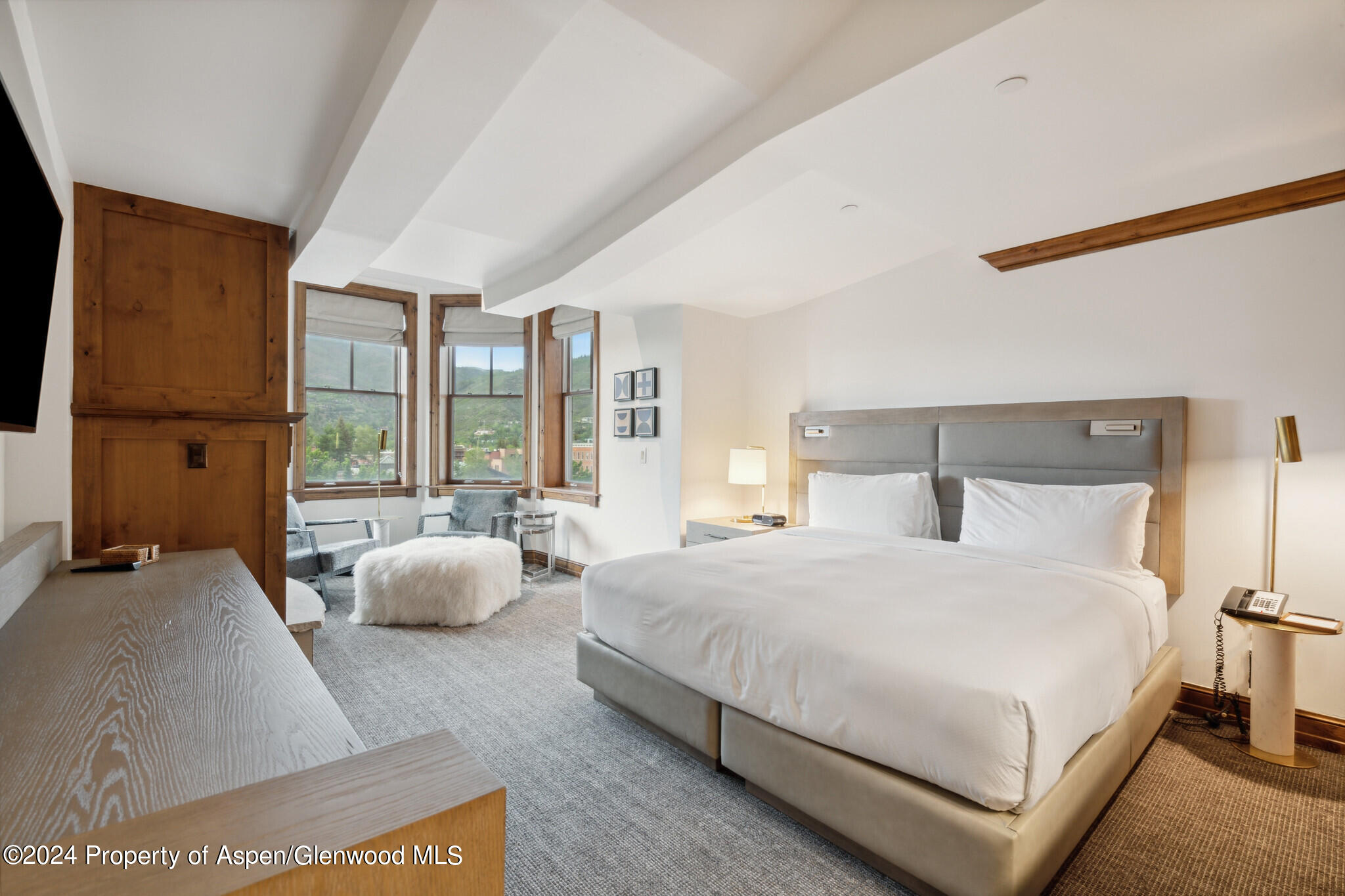 415 E Dean St., Unit 28, Week 34 Aspen CO 81611