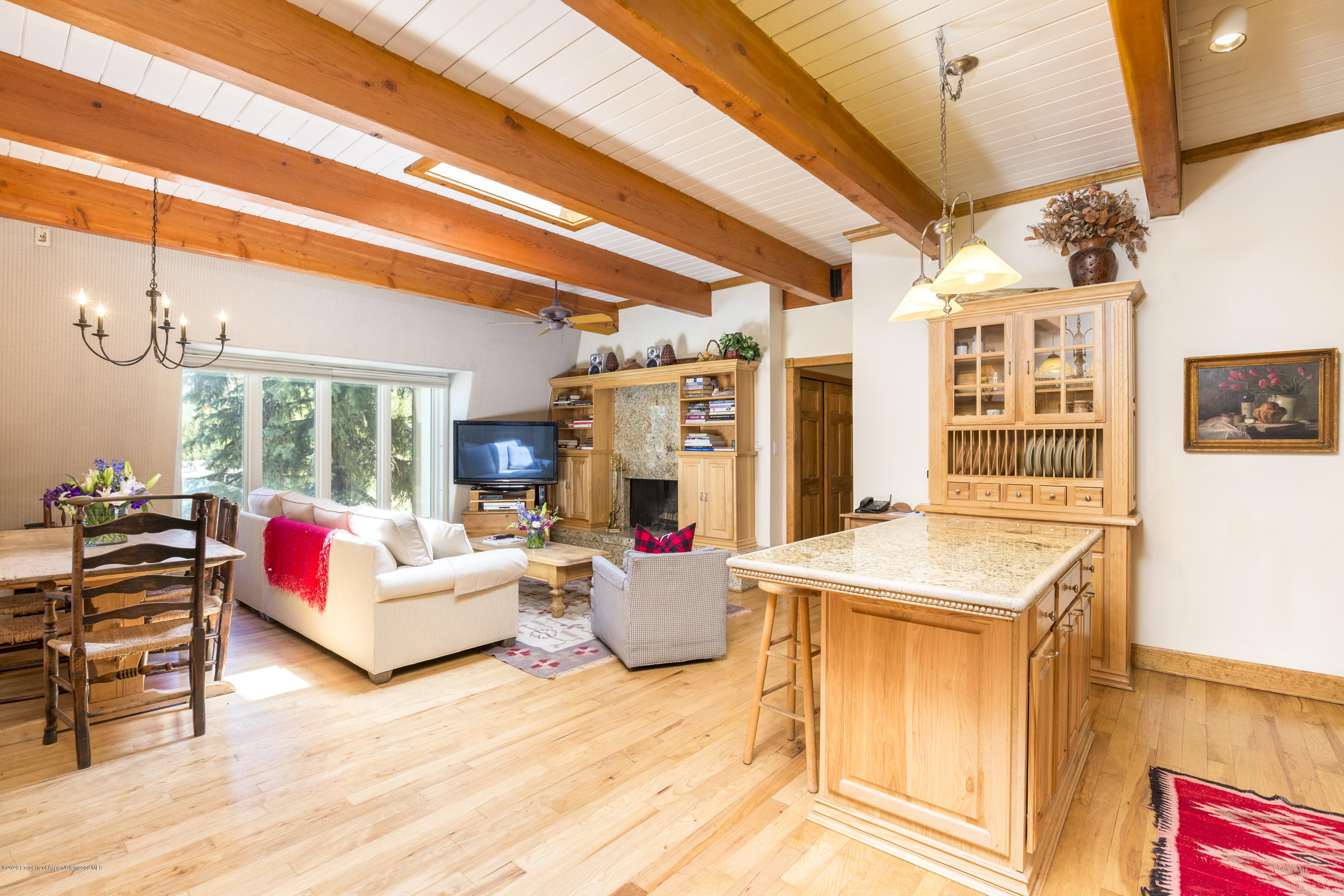 731 E Durant Avenue Aspen CO 81611