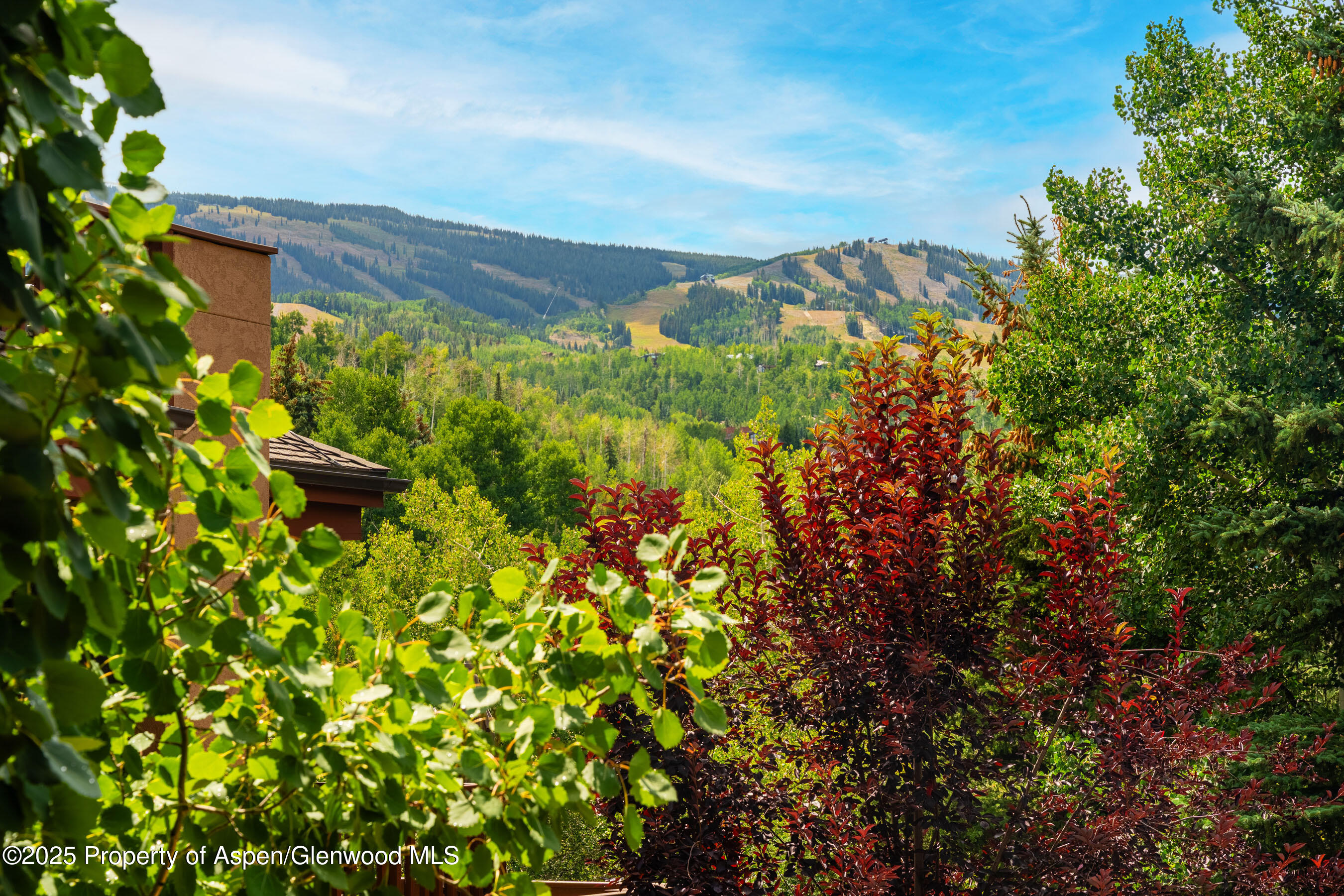 229 Faraway Road Snowmass Village CO 81615