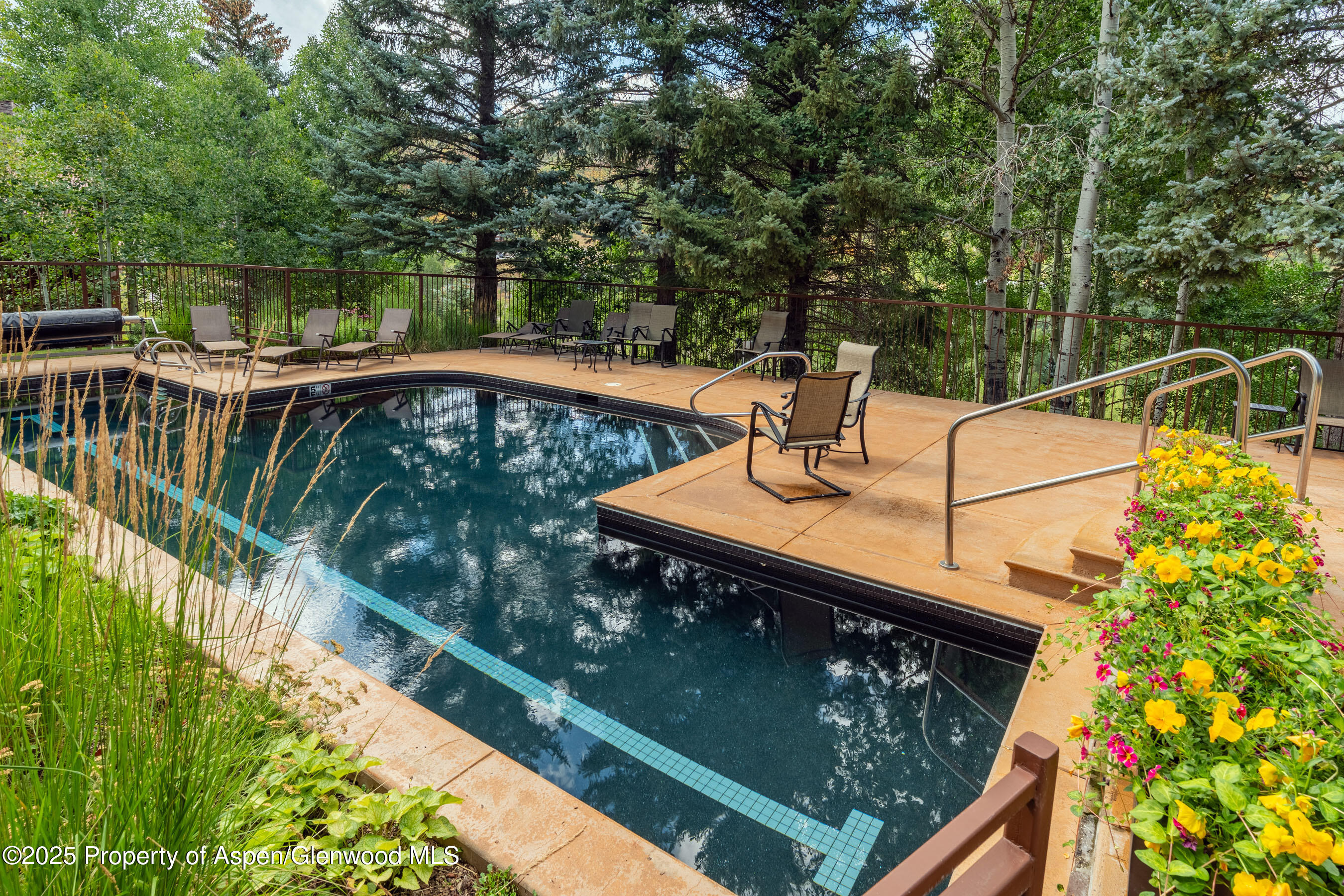 229 Faraway Road Snowmass Village CO 81615