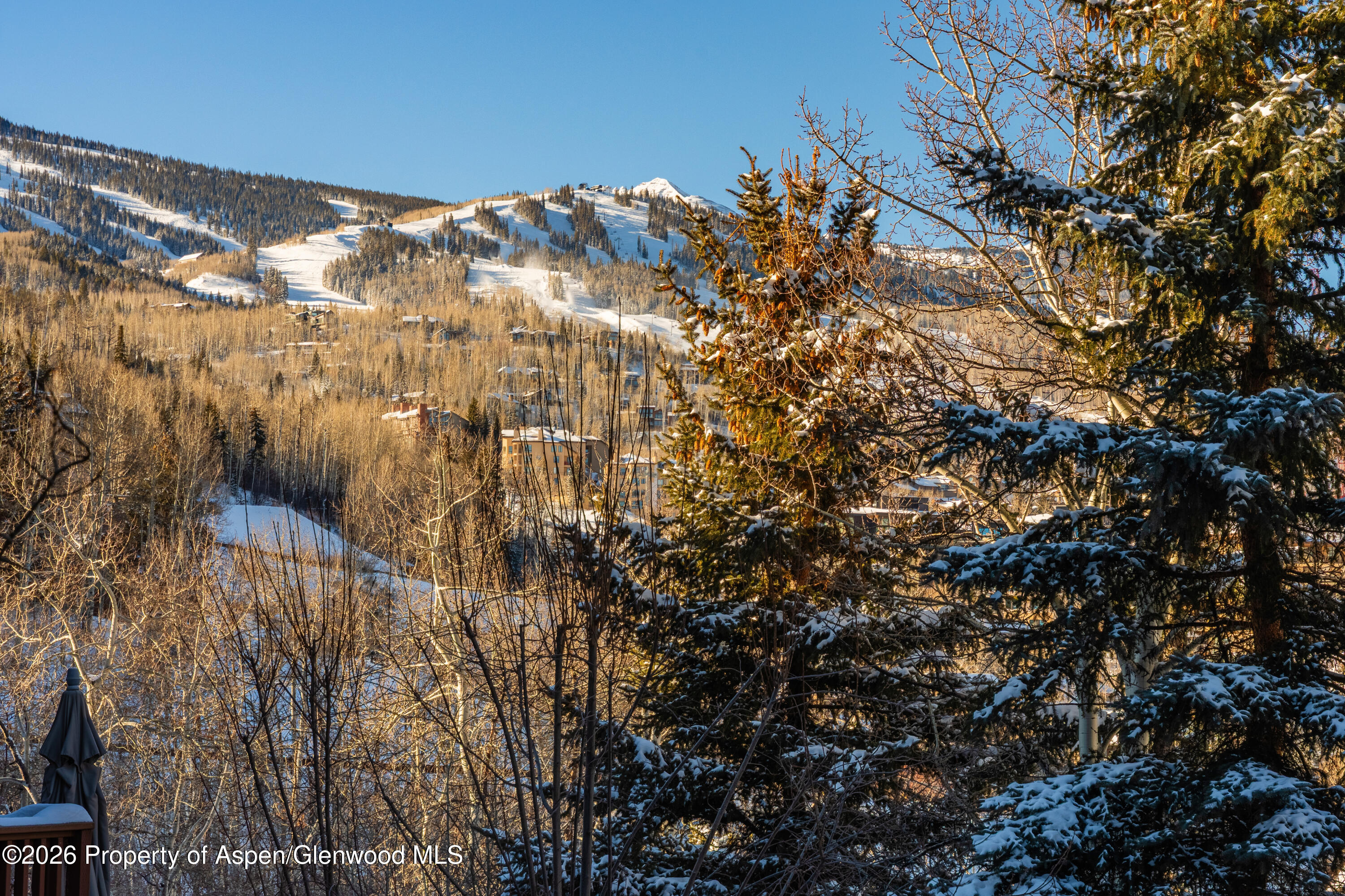 229 Faraway Road Snowmass Village CO 81615