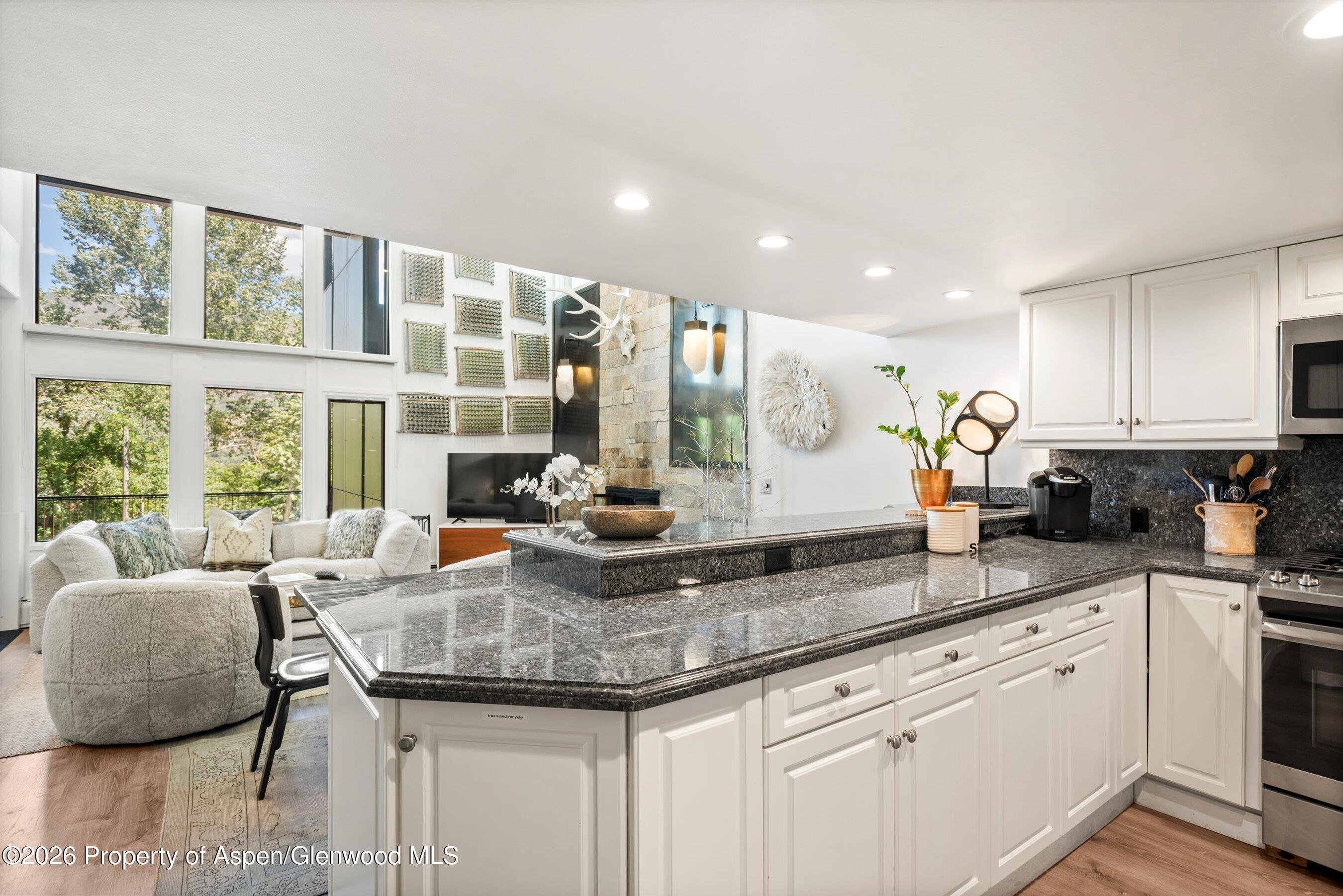 800 S Mill Street Aspen CO 81611
