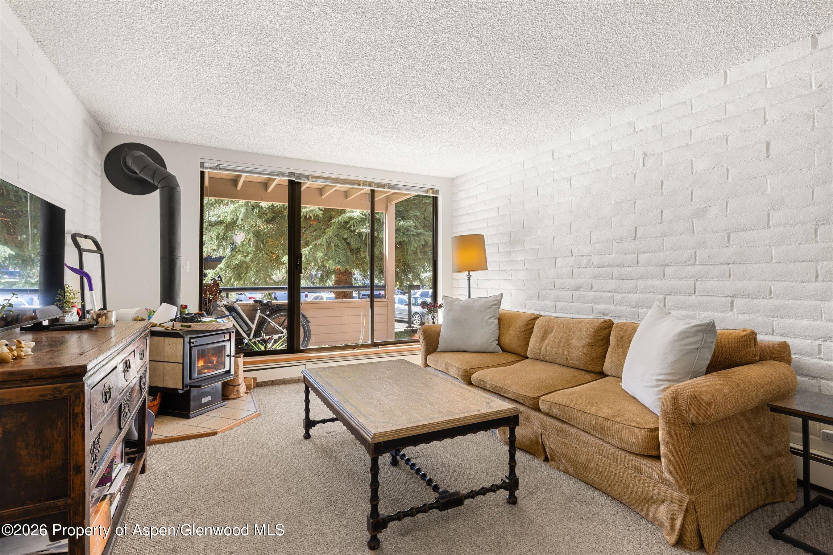 211 Vine Street Aspen CO 81611