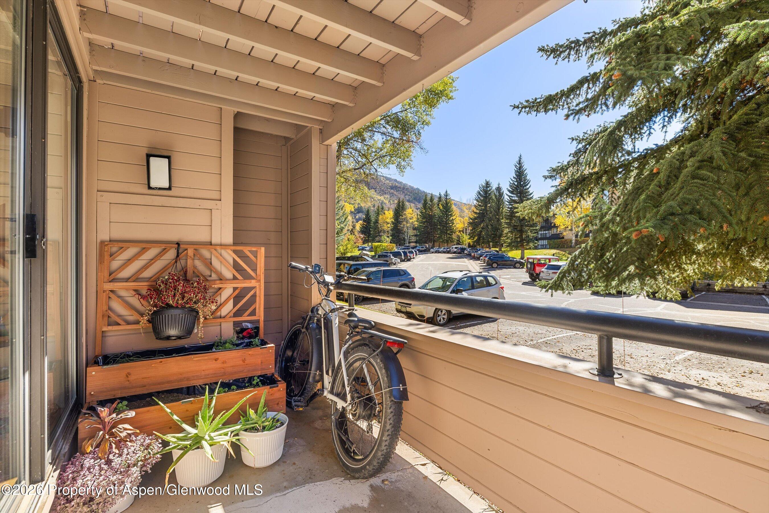 211 Vine Street Aspen CO 81611