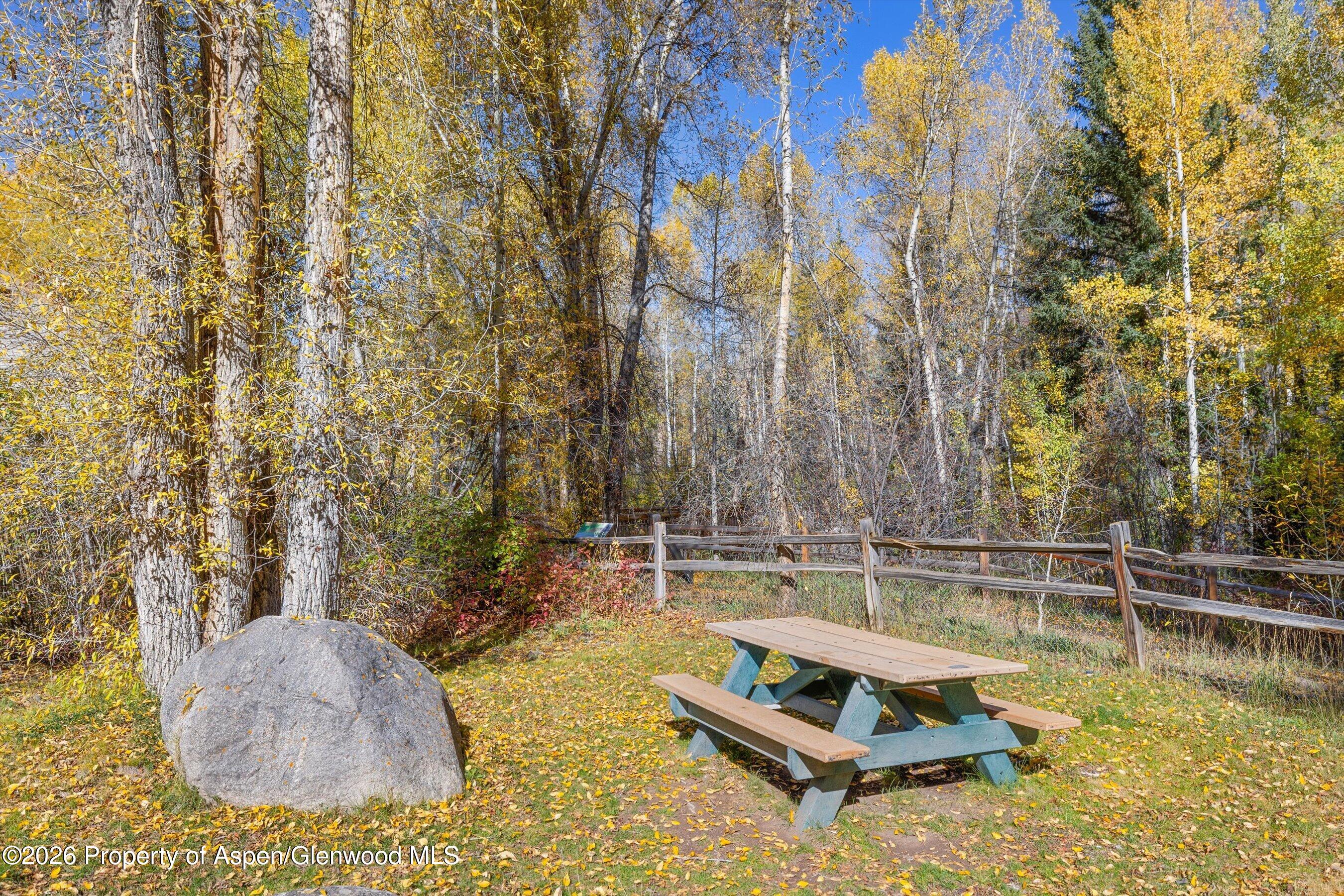 211 Vine Street Aspen CO 81611