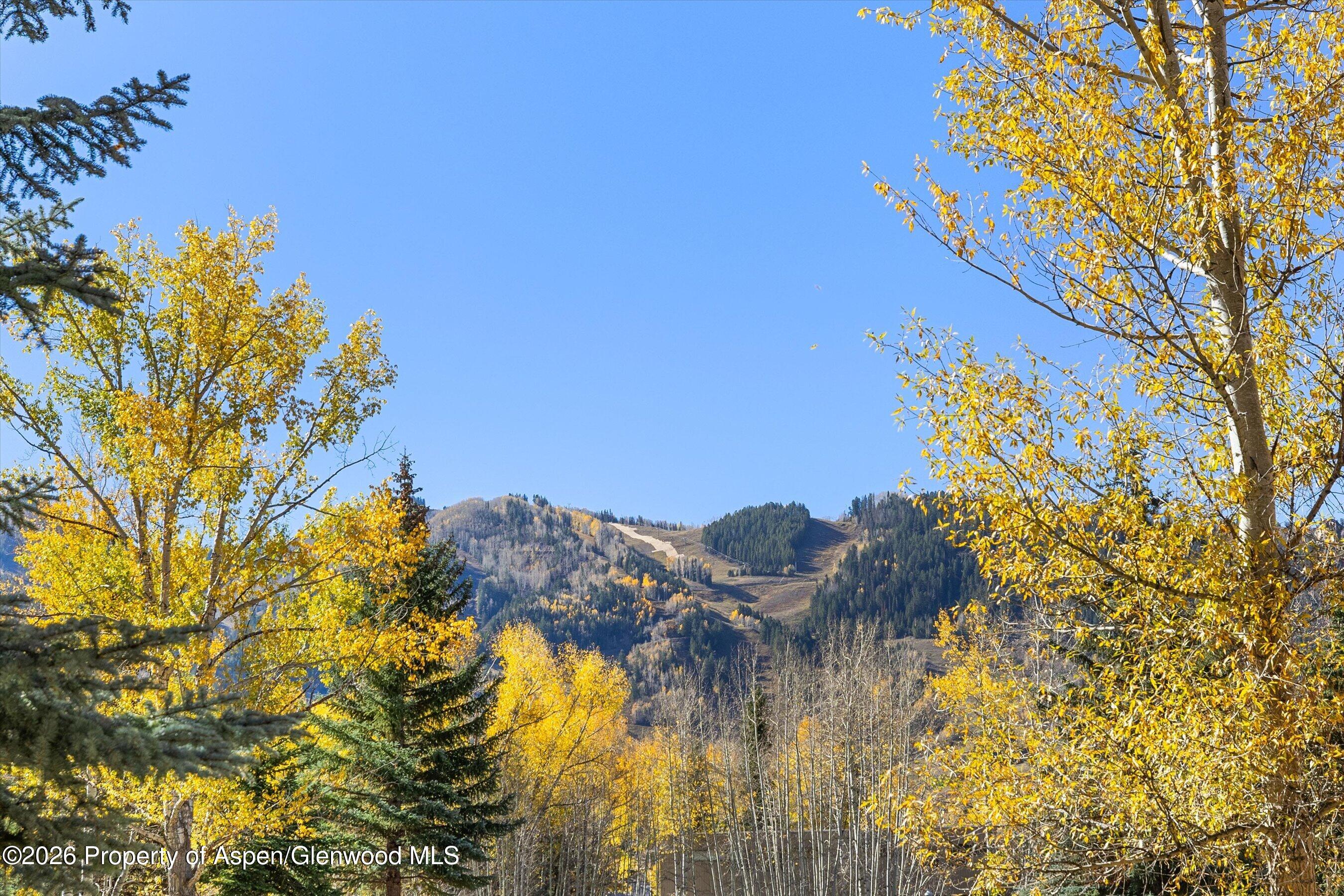 211 Vine Street Aspen CO 81611