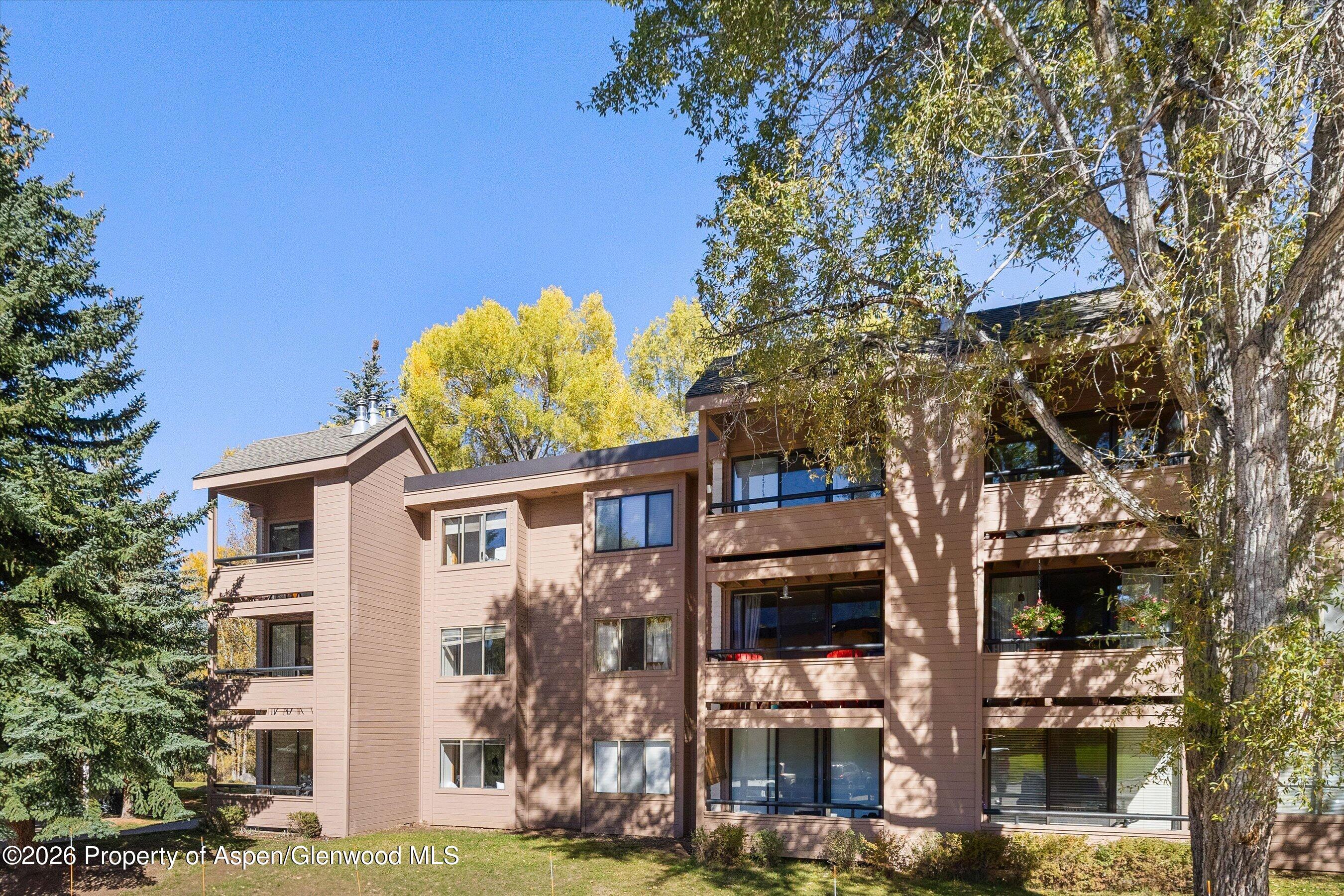 211 Vine Street Aspen CO 81611