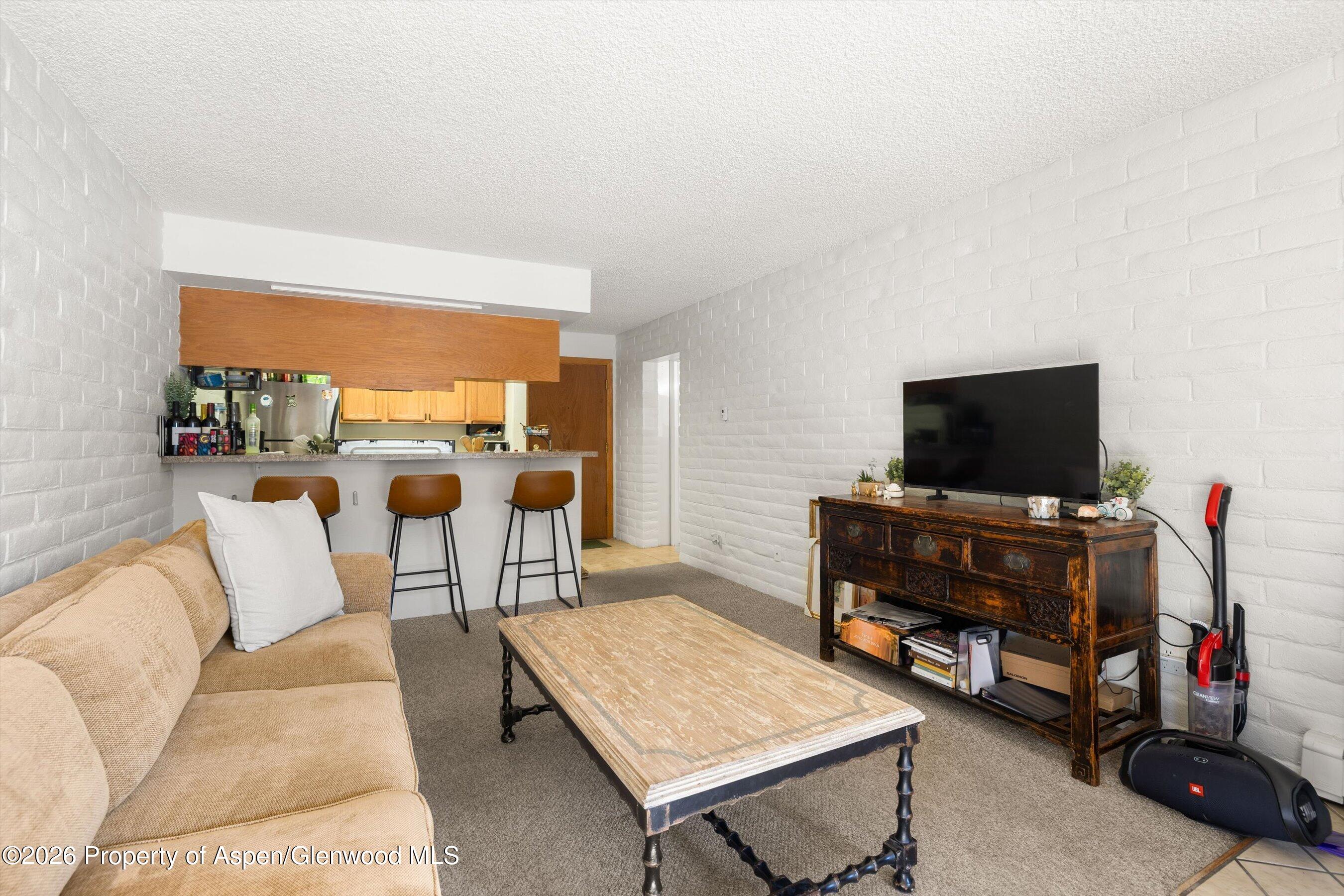 211 Vine Street Aspen CO 81611