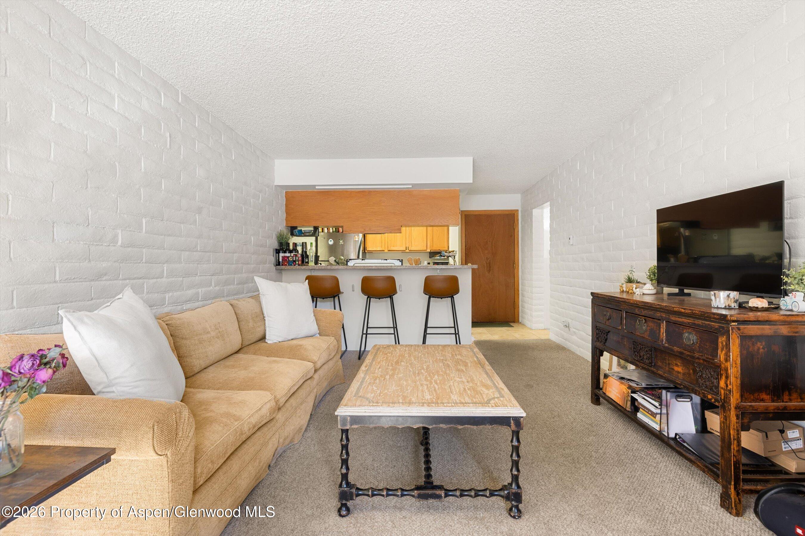 211 Vine Street Aspen CO 81611
