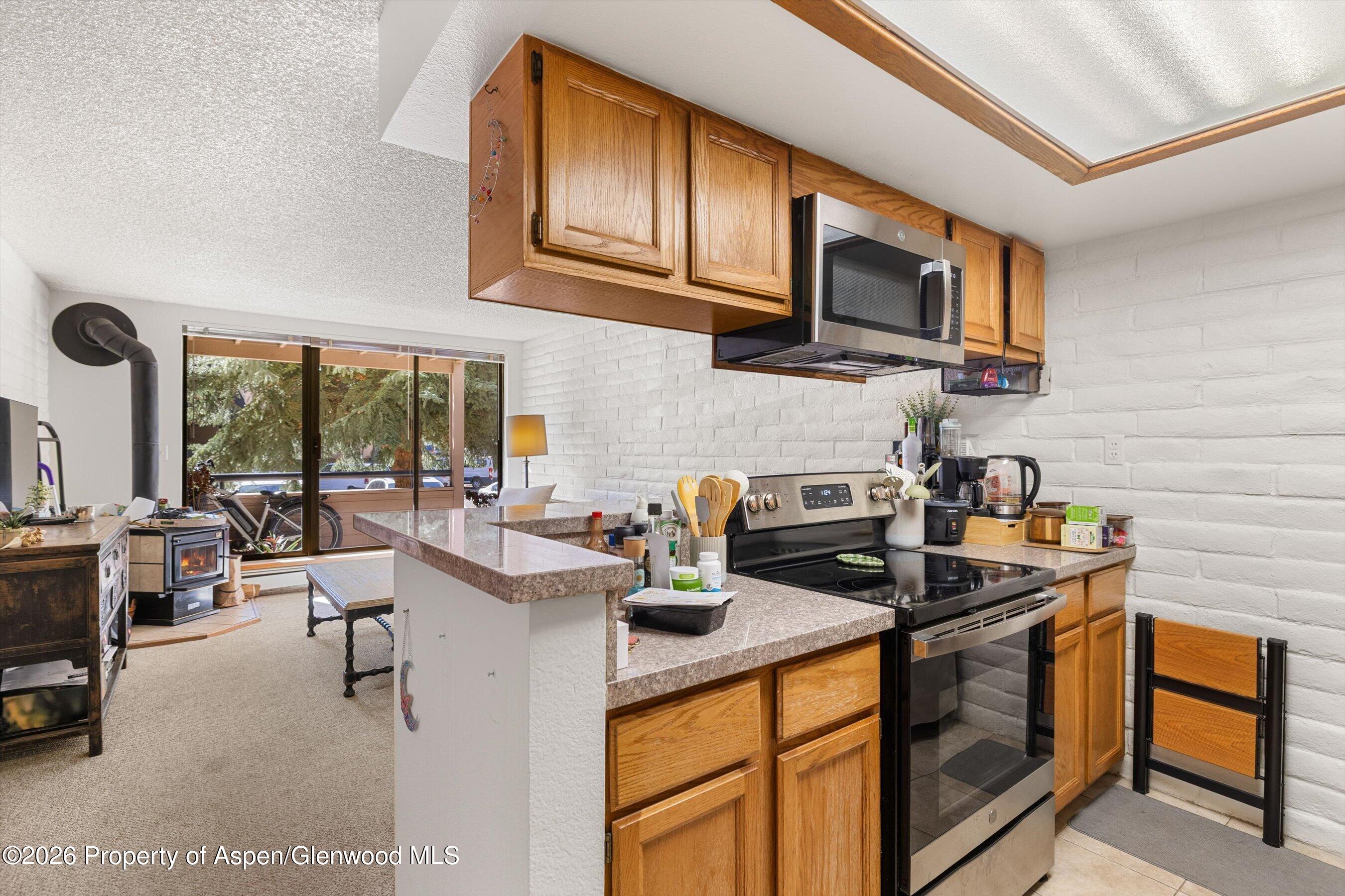 211 Vine Street Aspen CO 81611