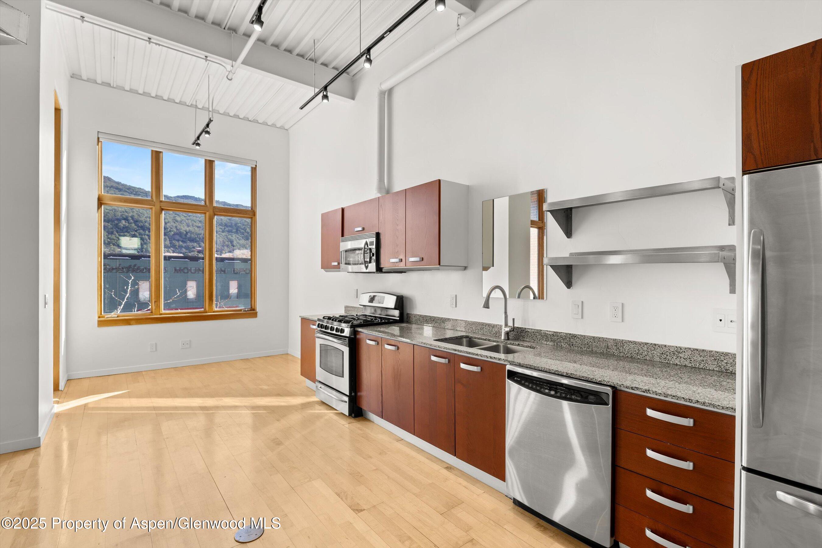 231 Robinson Street Basalt CO 81621