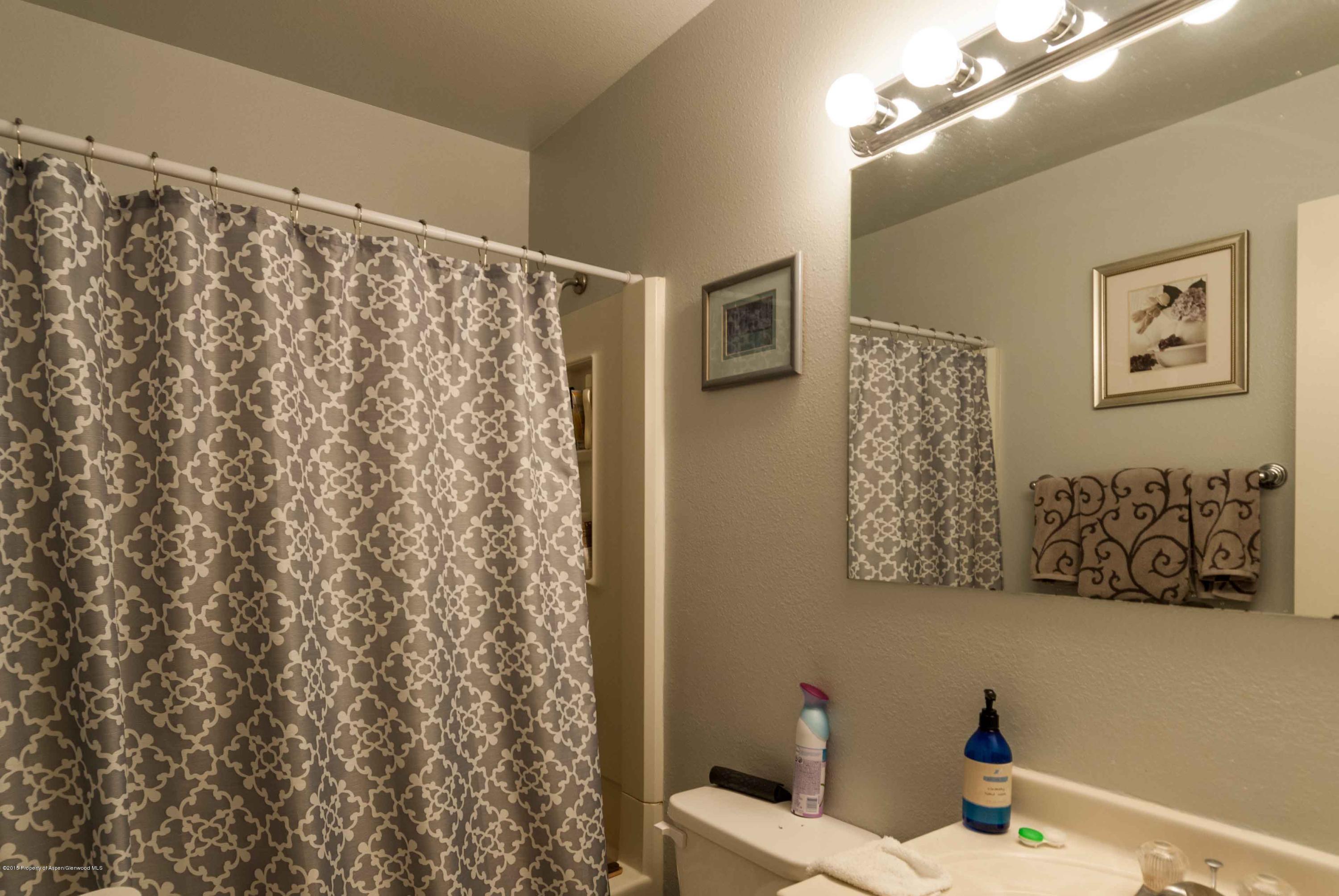 1111 Cara Court Carbondale CO 81623