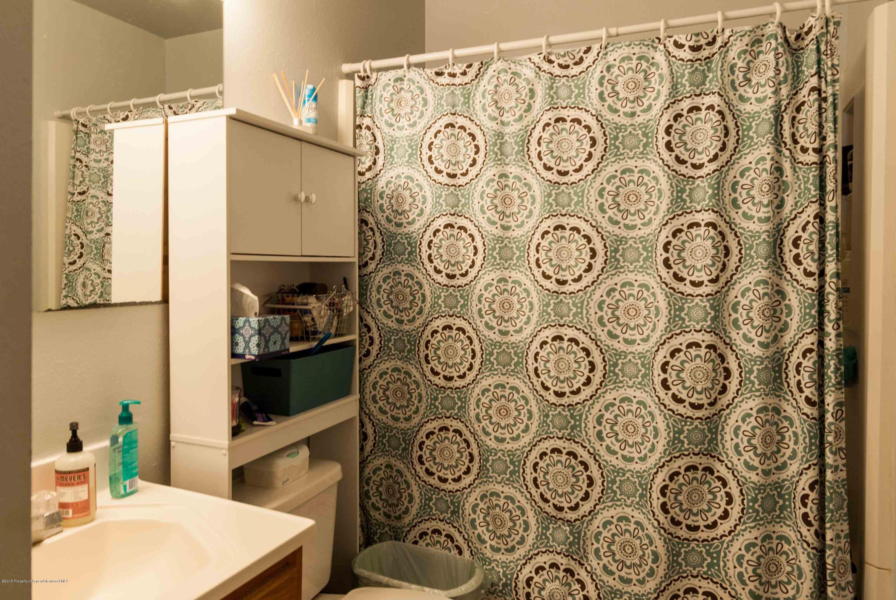 1111 Cara Court Carbondale CO 81623