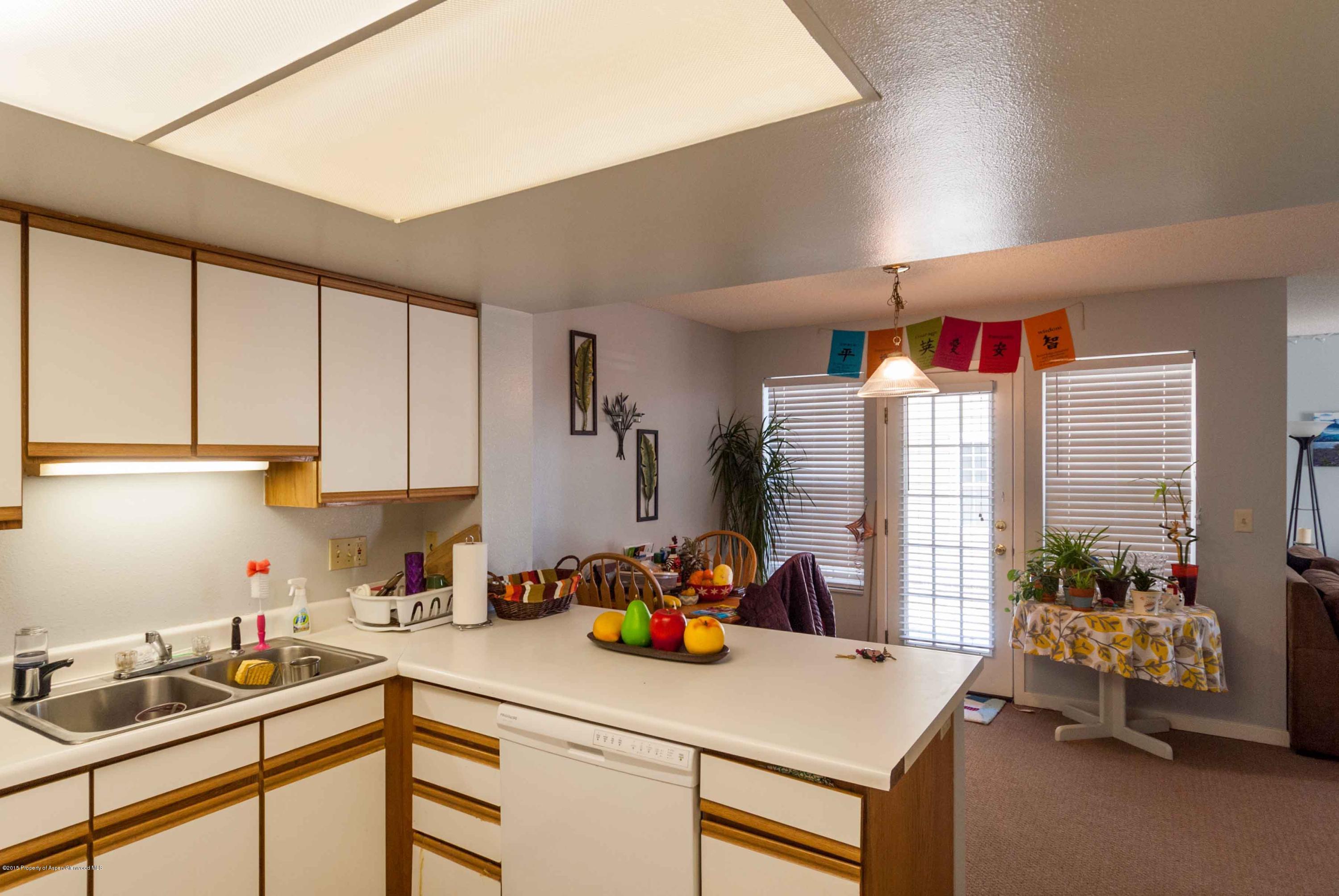 1111 Cara Court Carbondale CO 81623