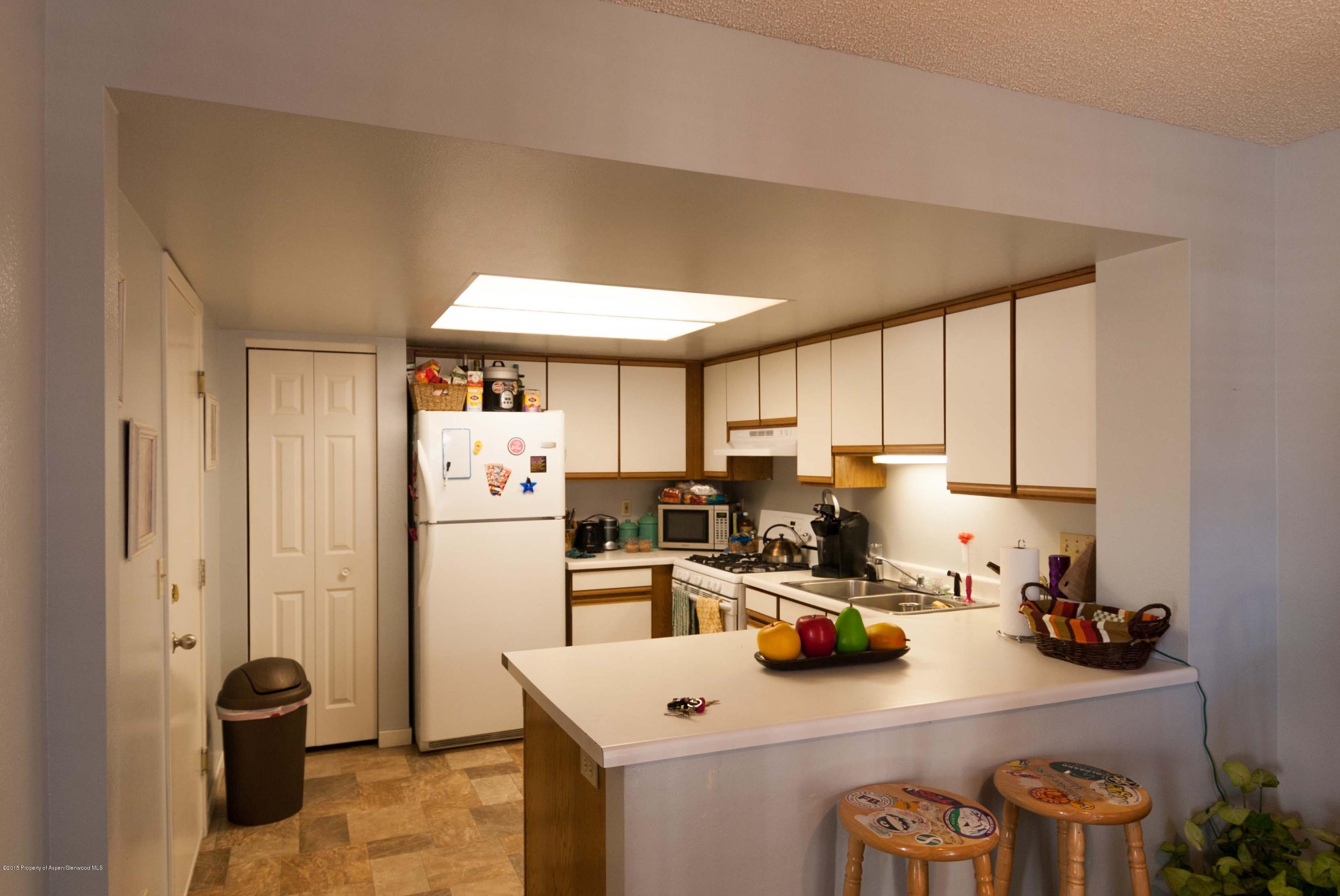 1111 Cara Court Carbondale CO 81623