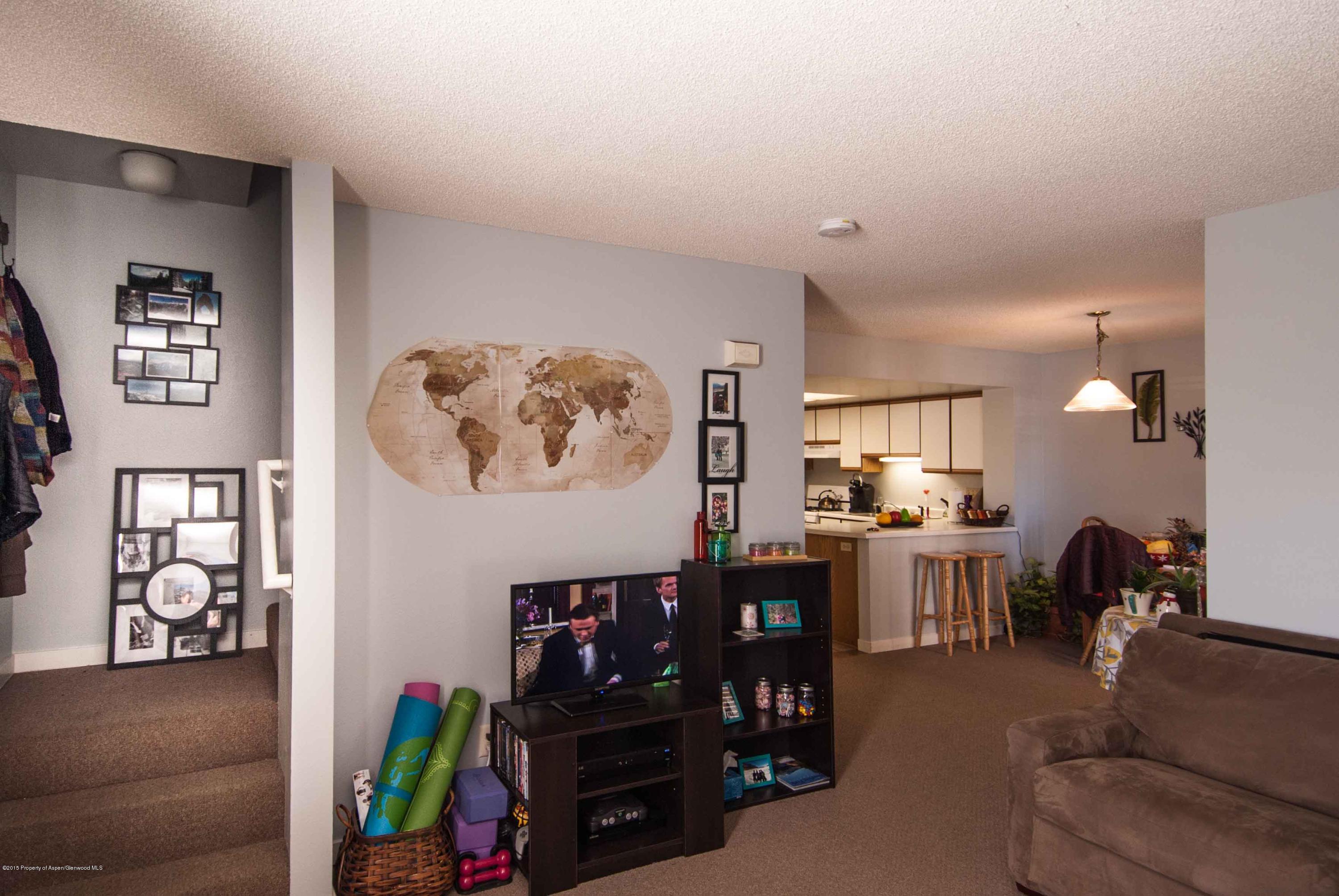 1111 Cara Court Carbondale CO 81623