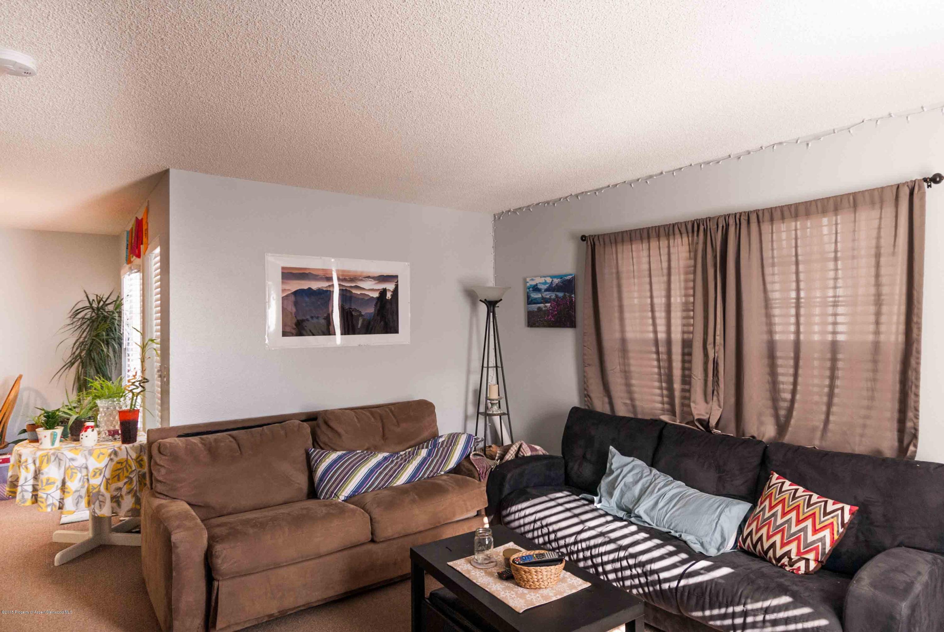 1111 Cara Court Carbondale CO 81623