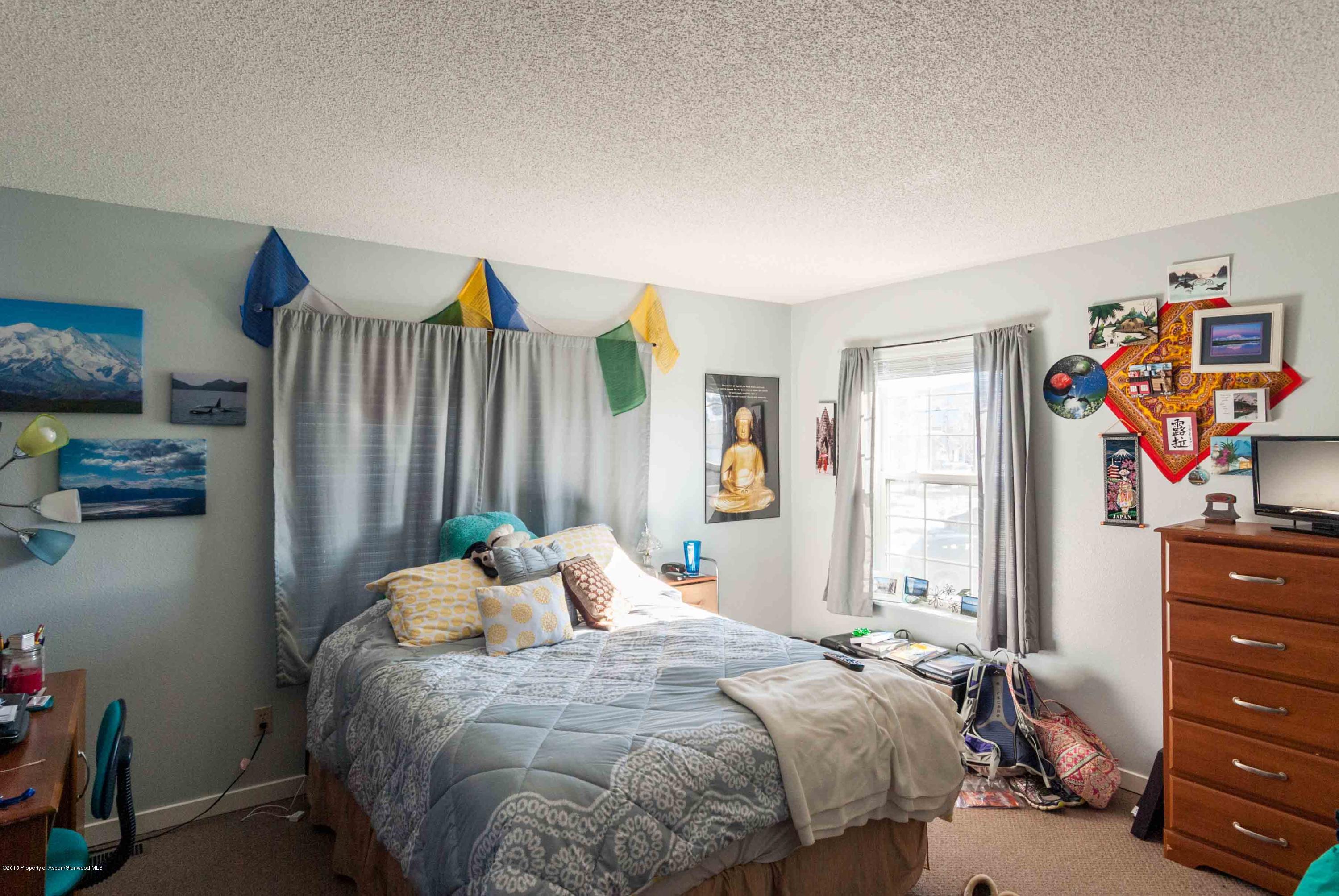 1111 Cara Court Carbondale CO 81623