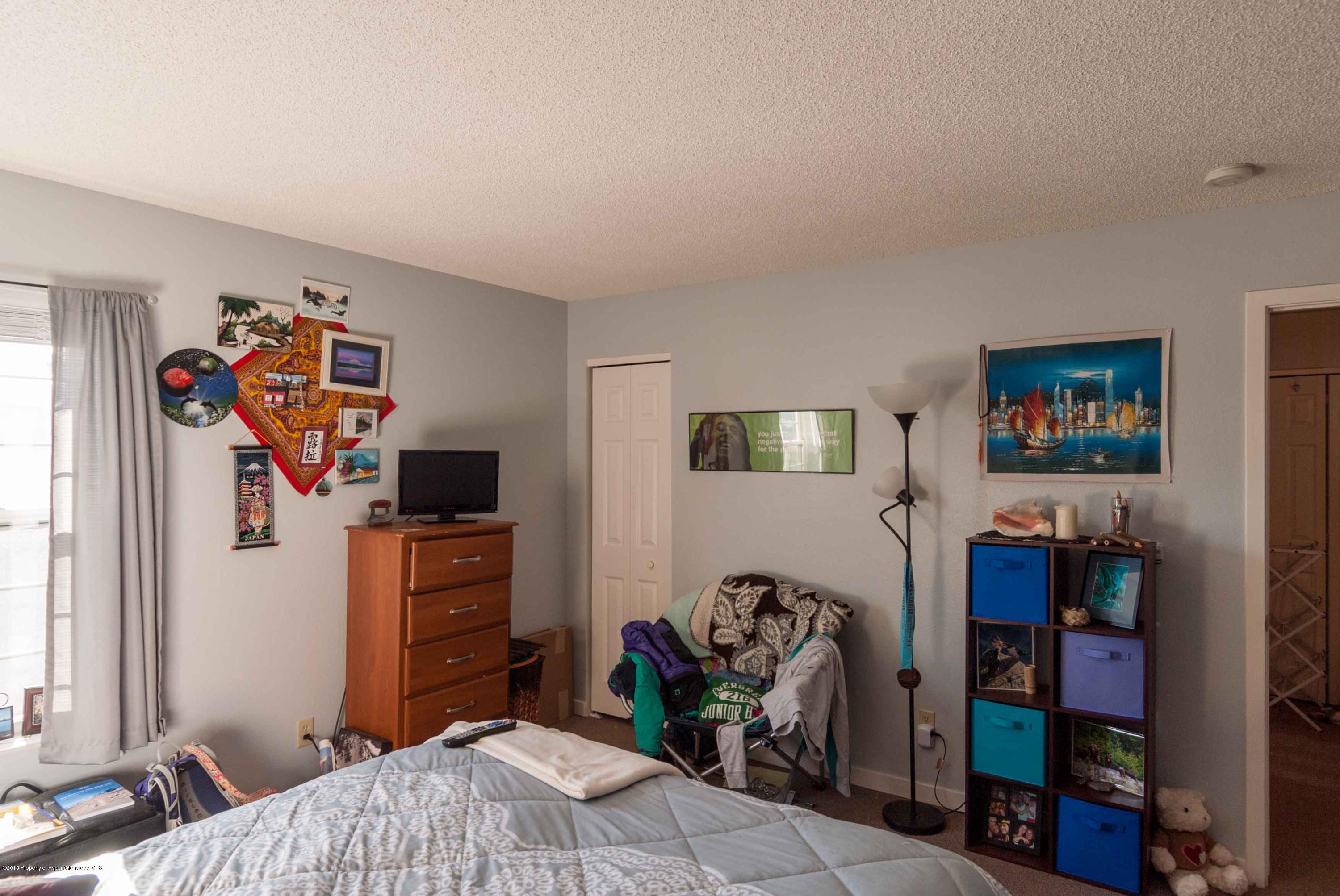 1111 Cara Court Carbondale CO 81623