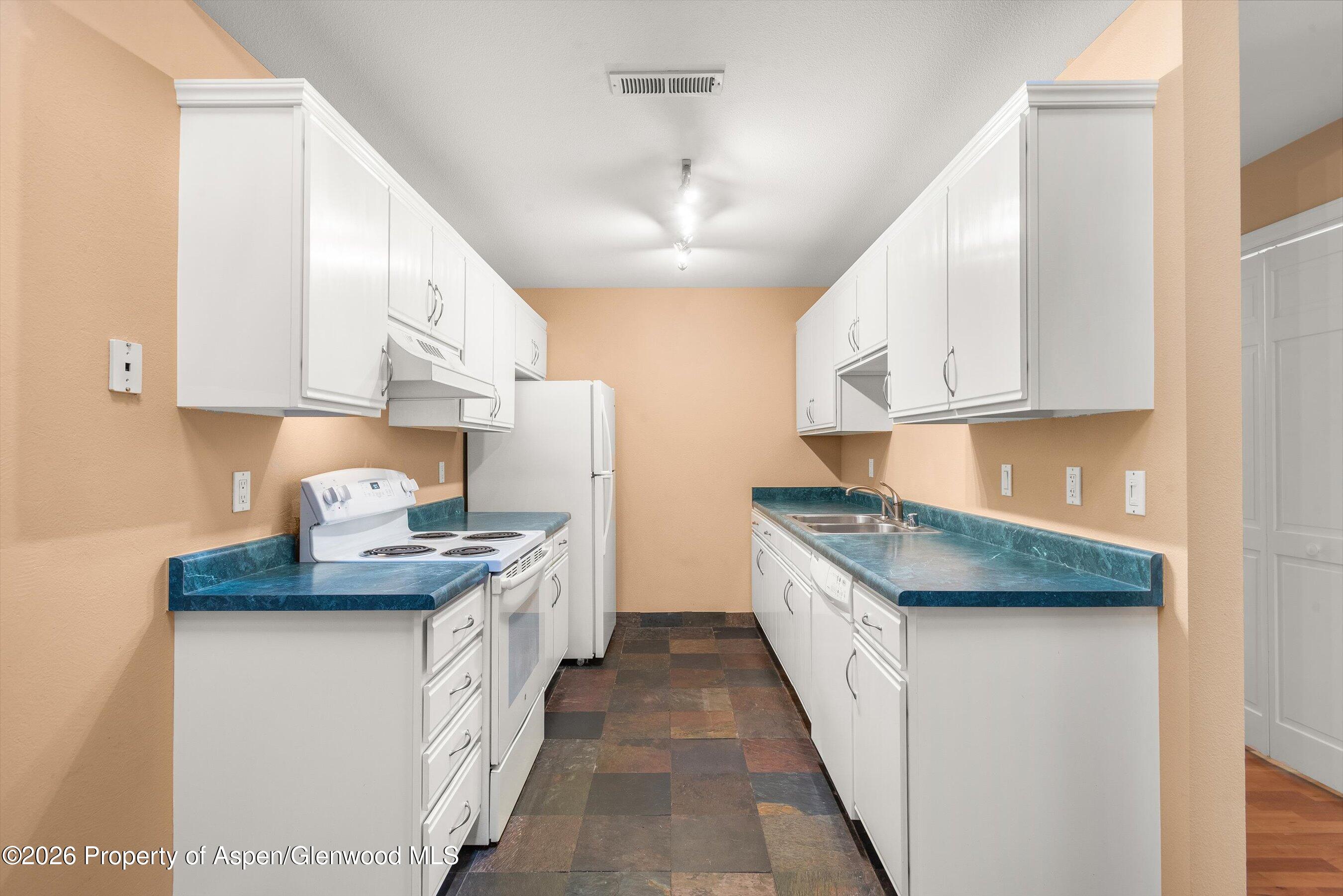 85 Meadowood Drive Carbondale CO 81623