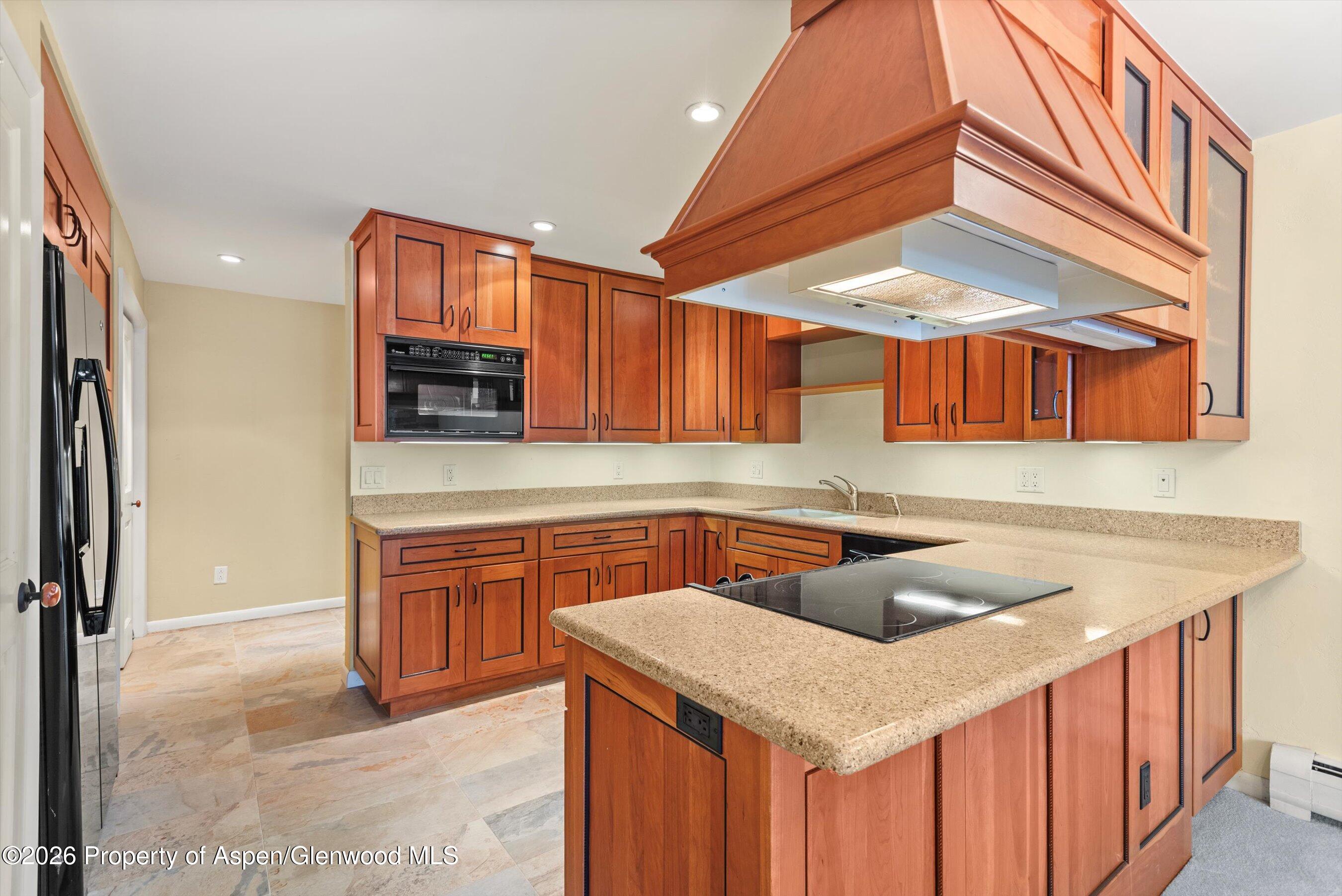 205 E Durant Avenue Aspen CO 81611